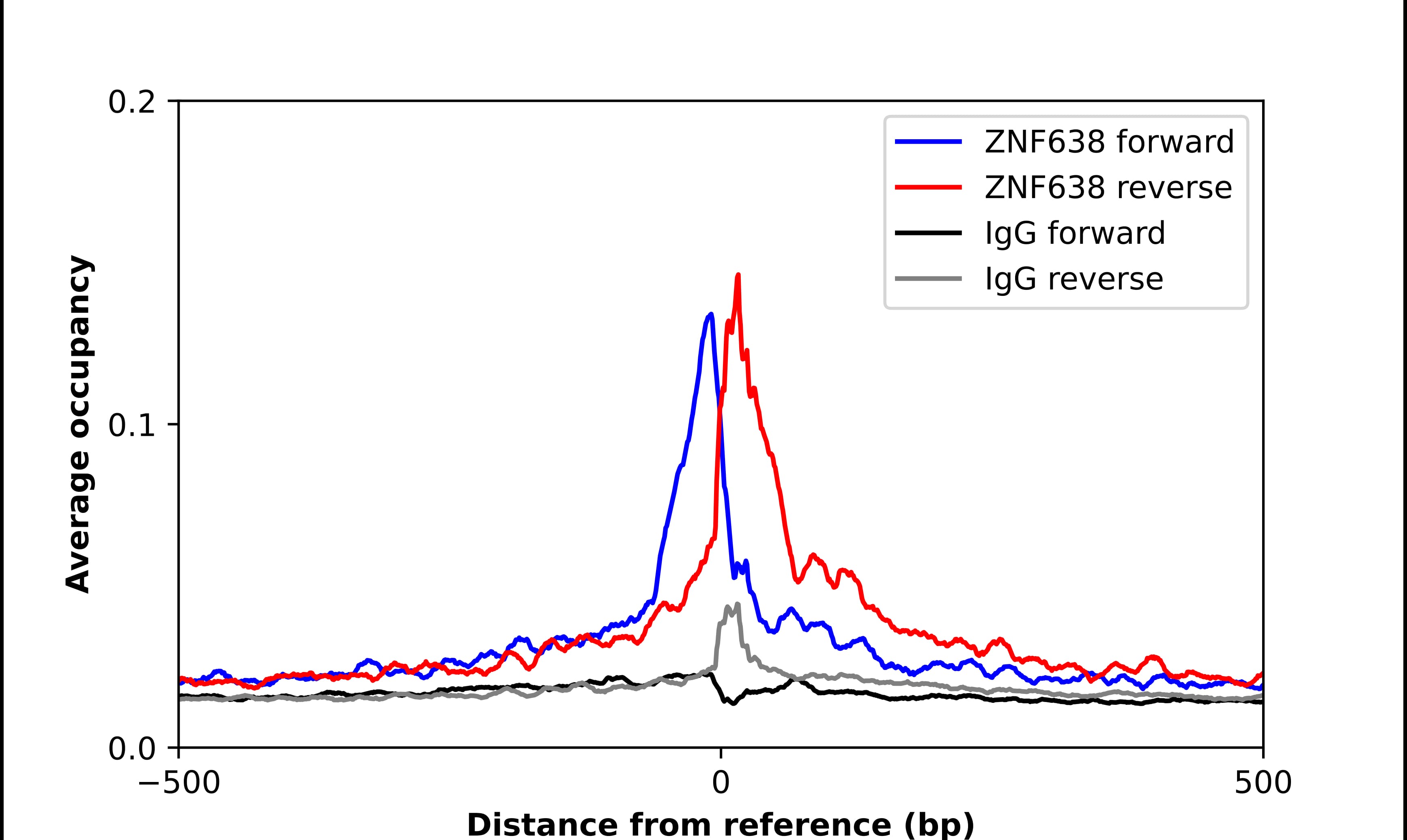 ChIP-Exo-Seq composite graph for Anti-ZNF638 tested in K562 cells. Strand-specific reads (blue: forward, red: reverse) and IgG controls (black: forward, grey: reverse) are plotted against the distance from a composite set of reference binding sites. The antibody exhibits robust target enrichment compared to a non-specific IgG control and precisely reveals its structural organization around the binding site. Data generated by Prof. B. F. Pugh's Lab at Cornell University.