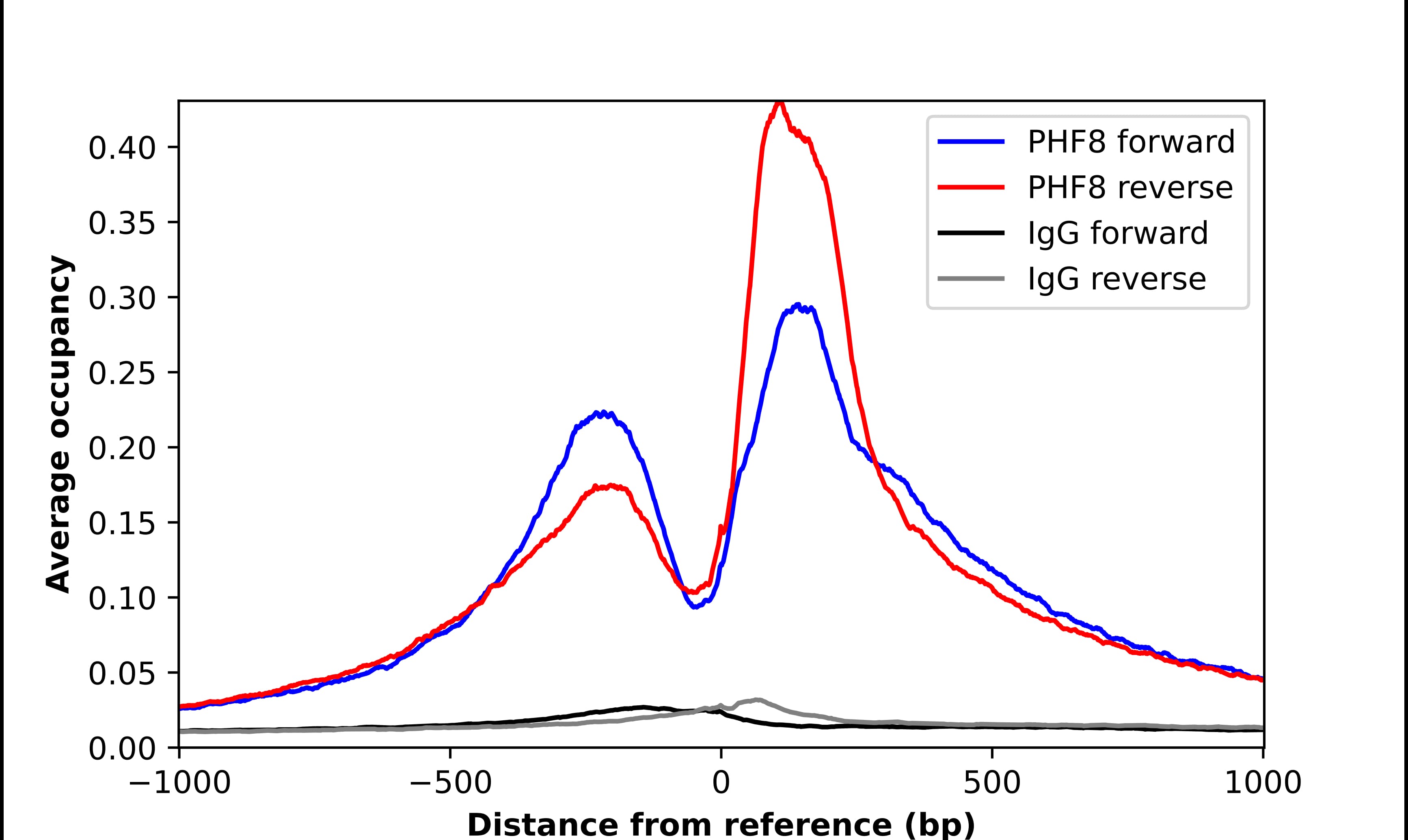 ChIP-Exo-Seq composite graph for Anti-PHF8 (NBP2-56147) tested in K562 cells. Strand-specific reads (blue: forward, red: reverse) and IgG controls (black: forward, grey: reverse) are plotted against the distance from a composite set of reference binding sites. The antibody exhibits robust target enrichment compared to a non-specific IgG control and precisely reveals its structural organization around the binding site. Data generated by Prof. B. F. Pugh´s Lab at Cornell University.