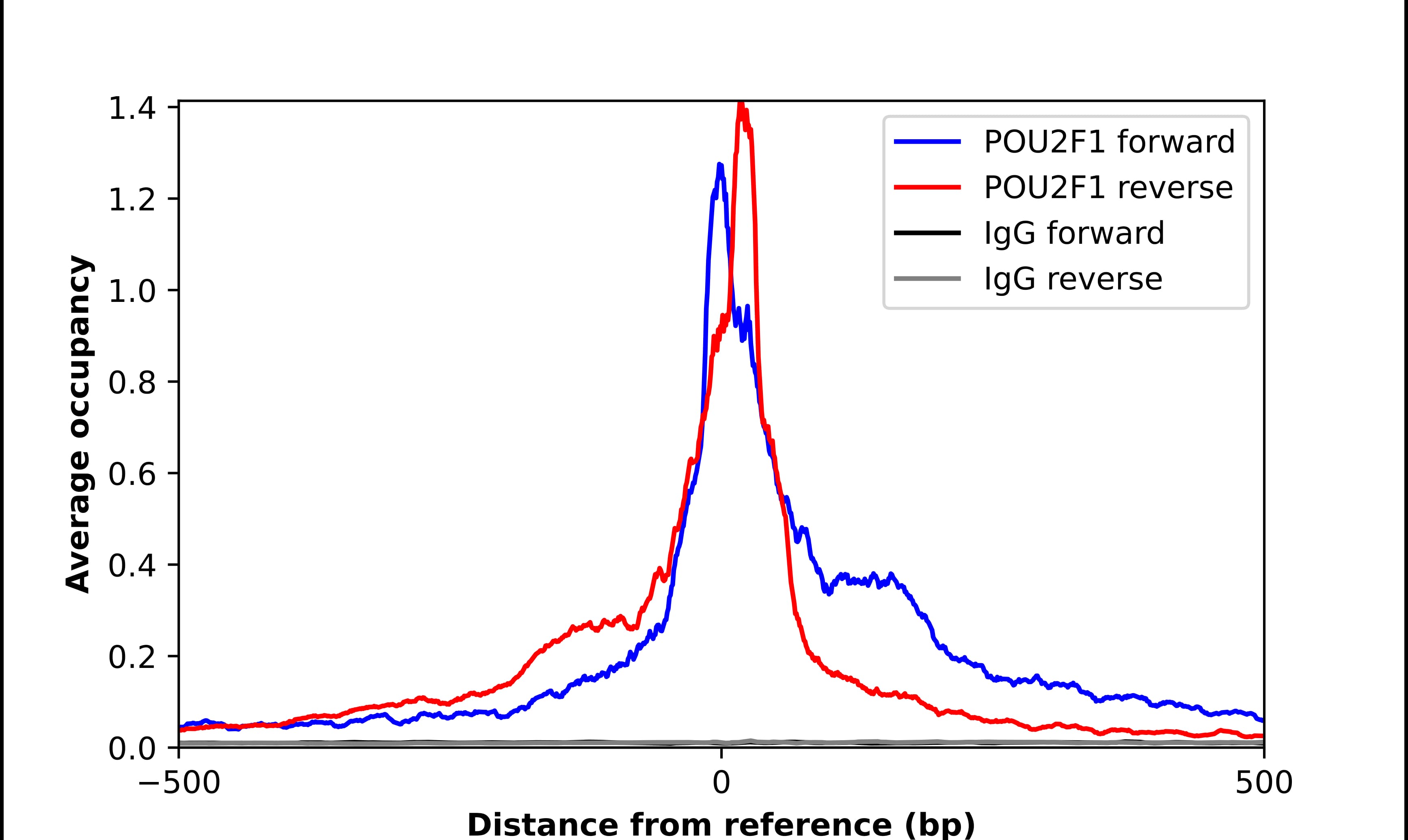 ChIP-Exo-Seq composite graph for Anti-POU2F1 (NBP2-56190) tested in K562 cells. Strand-specific reads (blue: forward, red: reverse) and IgG controls (black: forward, grey: reverse) are plotted against the distance from a composite set of reference binding sites. The antibody exhibits robust target enrichment compared to a non-specific IgG control and precisely reveals its structural organization around the binding site. Data generated by Prof. B. F. Pugh´s Lab at Cornell University.