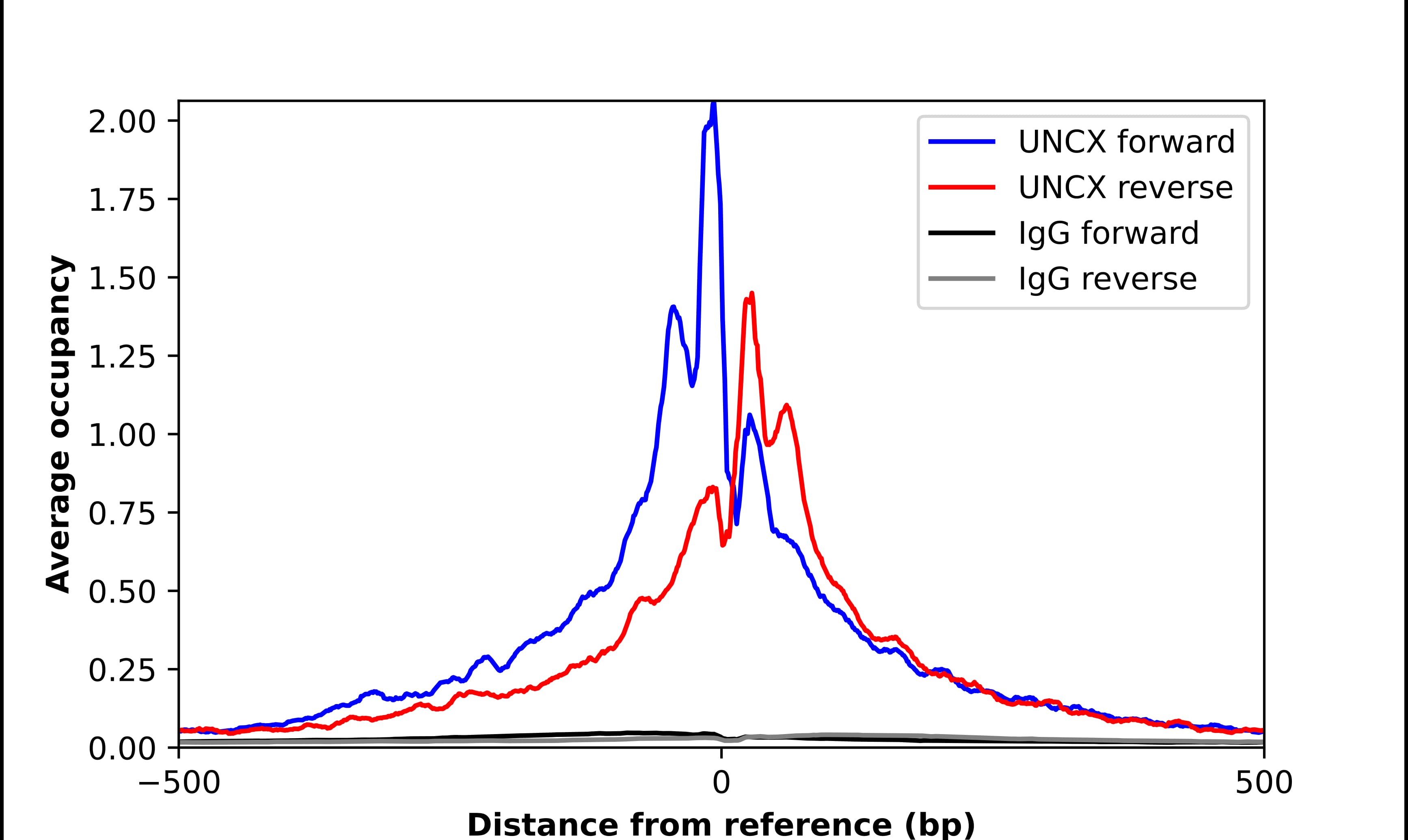 ChIP-Exo-Seq composite graph for Anti-UNCX (NBP2-56480) tested in K562 cells. Strand-specific reads (blue: forward, red: reverse) and IgG controls (black: forward, grey: reverse) are plotted against the distance from a composite set of reference binding sites. The antibody exhibits robust target enrichment compared to a non-specific IgG control and precisely reveals its structural organization around the binding site. Data generated by Prof. B. F. Pugh´s Lab at Cornell University.