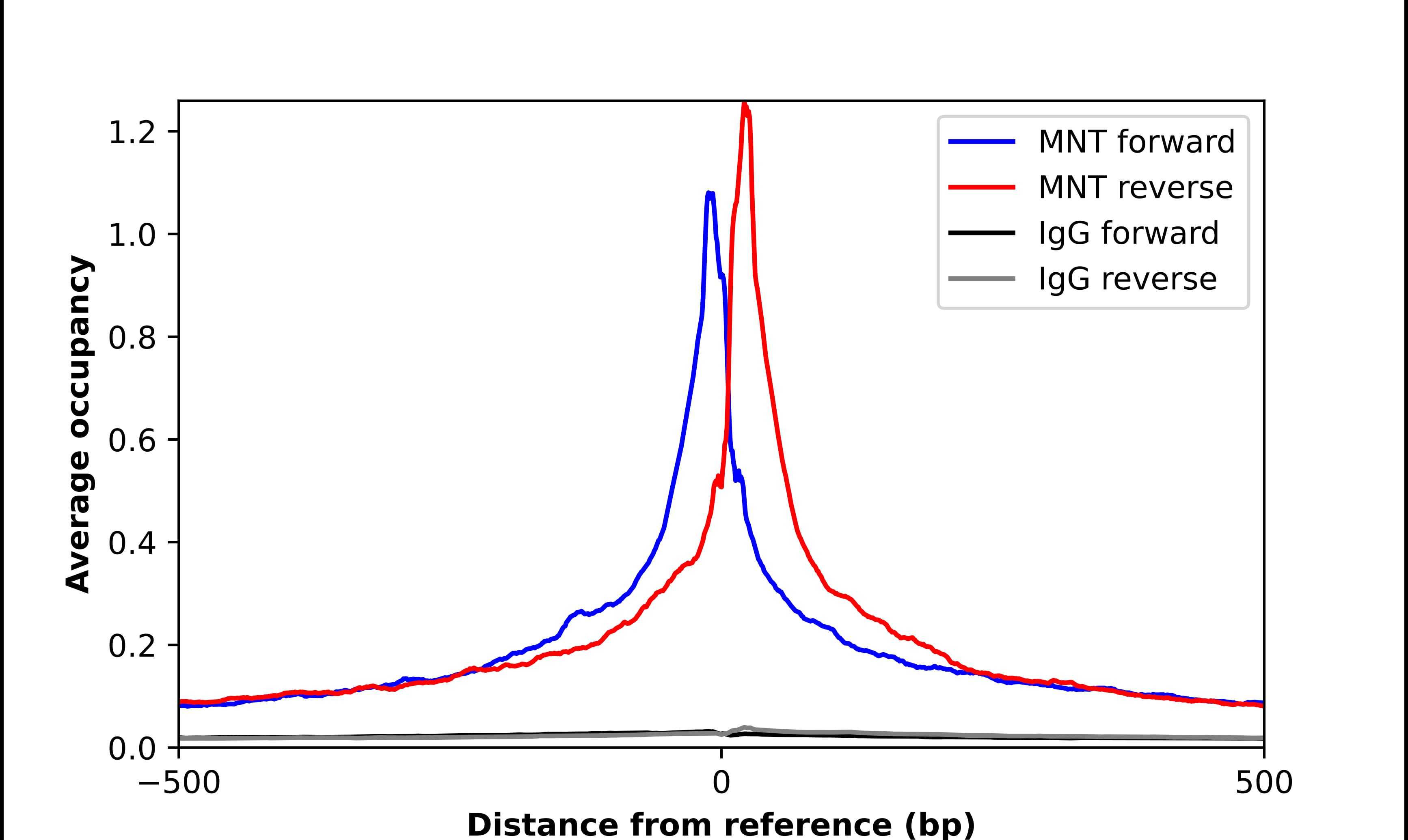 ChIP-Exo-Seq composite graph for Anti-MNT (NBP2-56563) tested in K562 cells. Strand-specific reads (blue: forward, red: reverse) and IgG controls (black: forward, grey: reverse) are plotted against the distance from a composite set of reference binding sites. The antibody exhibits robust target enrichment compared to a non-specific IgG control and precisely reveals its structural organization around the binding site. Data generated by Prof. B. F. Pugh´s Lab at Cornell University.