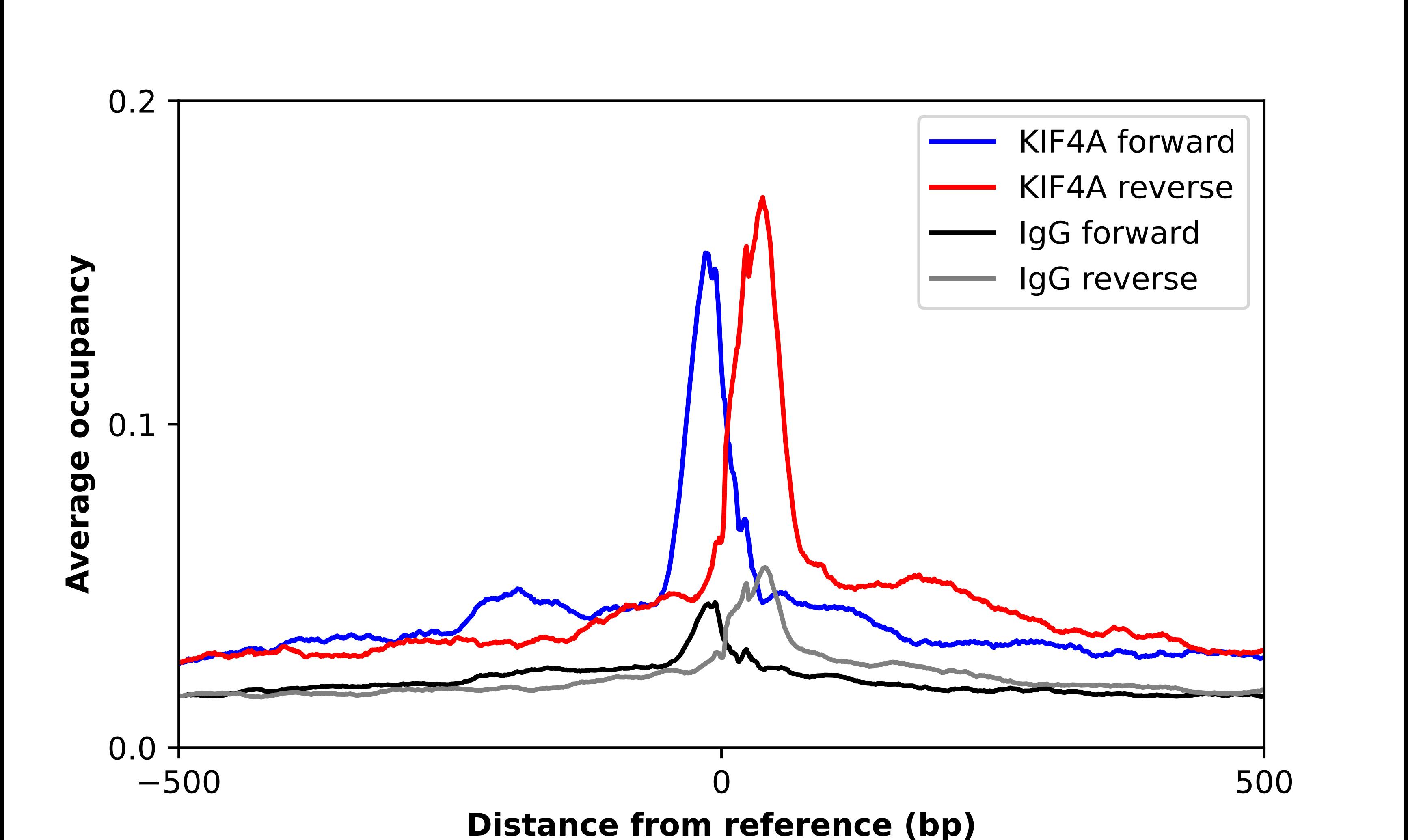 ChIP-Exo-Seq composite graph for Anti-Kif4A tested in K562 cells. Strand-specific reads (blue: forward, red: reverse) and IgG controls (black: forward, grey: reverse) are plotted against the distance from a composite set of reference binding sites. The antibody exhibits robust target enrichment compared to a non-specific IgG control and precisely reveals its structural organization around the binding site. Data generated by Prof. B. F. Pugh's Lab at Cornell University.