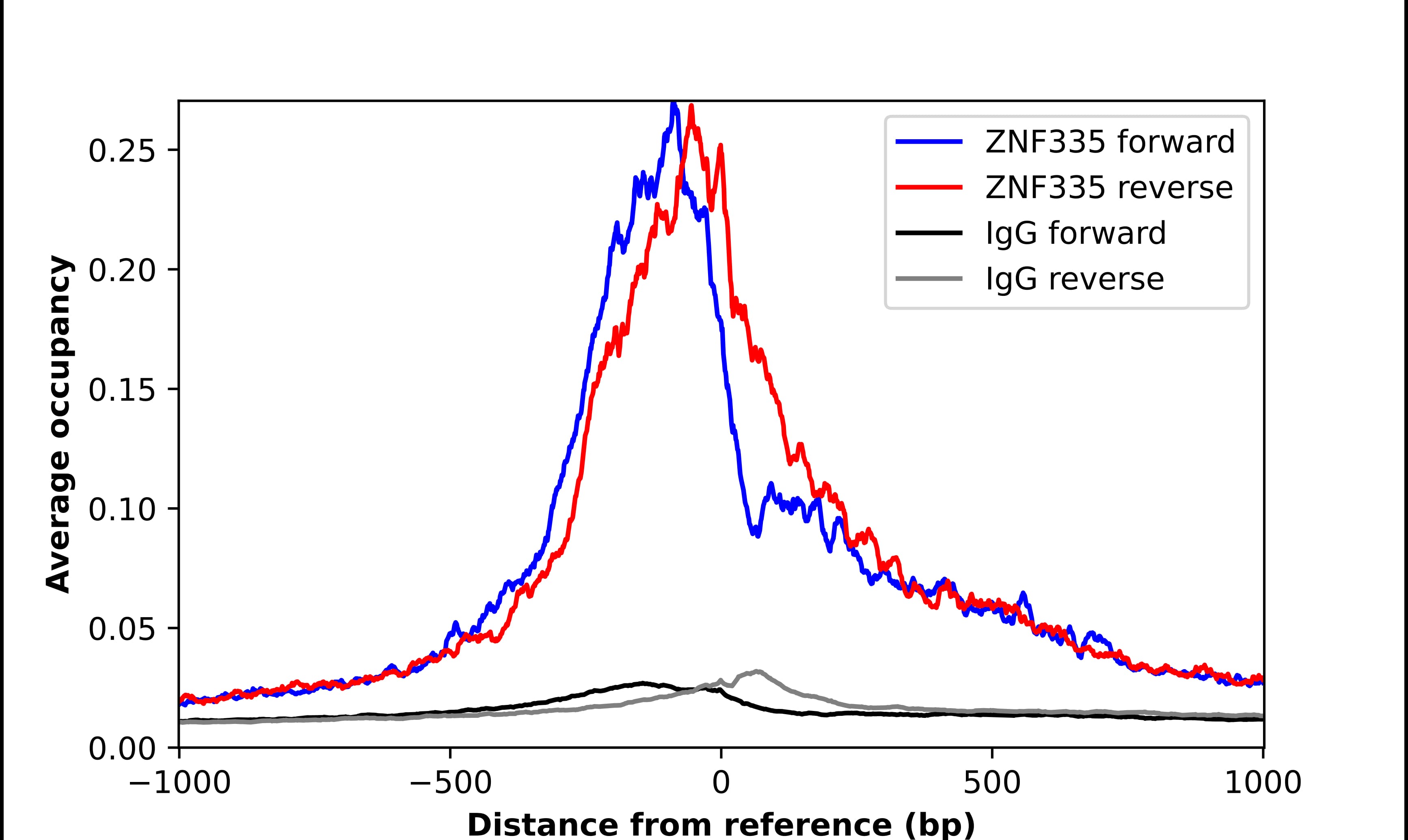 Chromatin Immunoprecipitation NIF1 Antibody - BSA Free