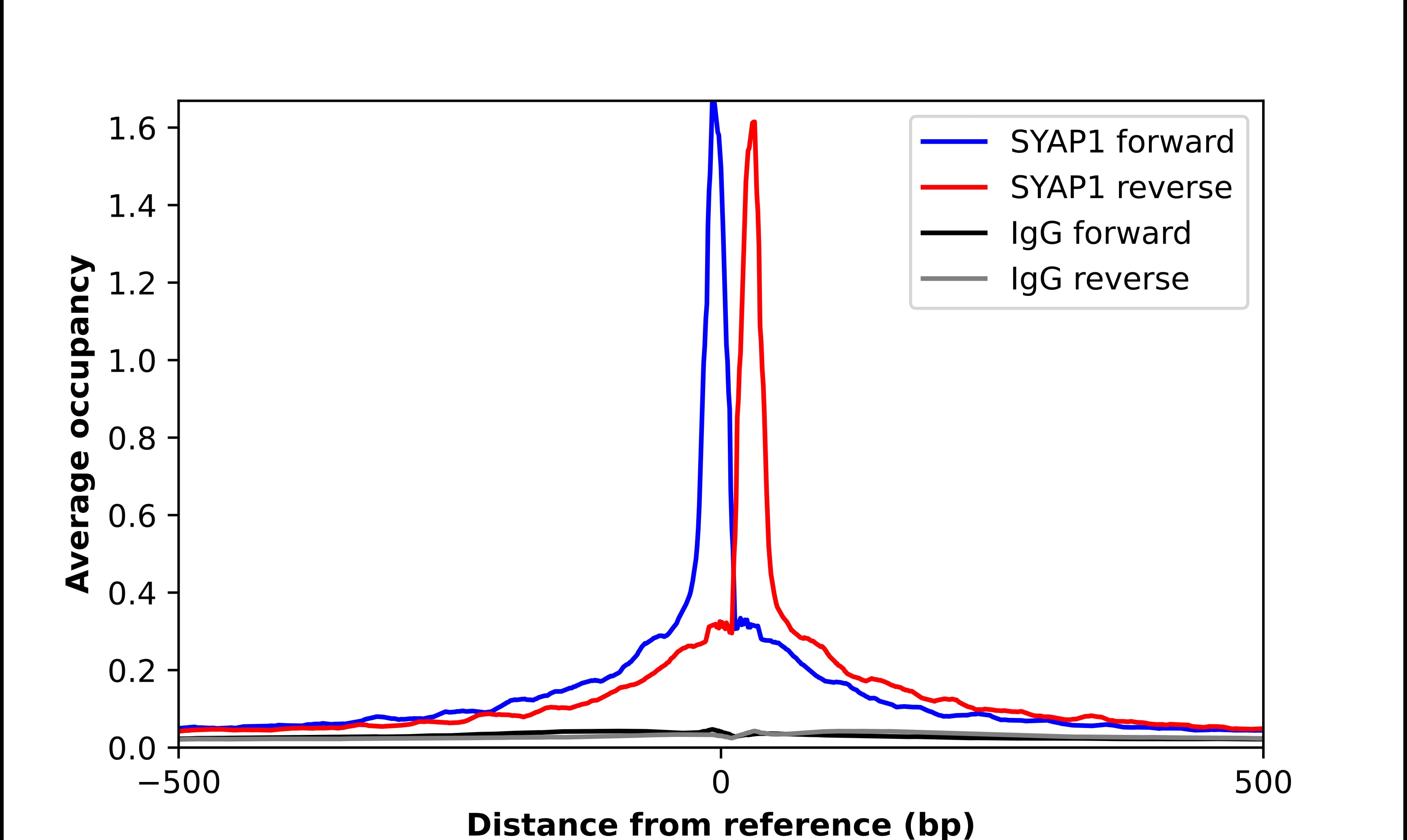 Chromatin Immunoprecipitation SYAP1 Antibody - BSA Free