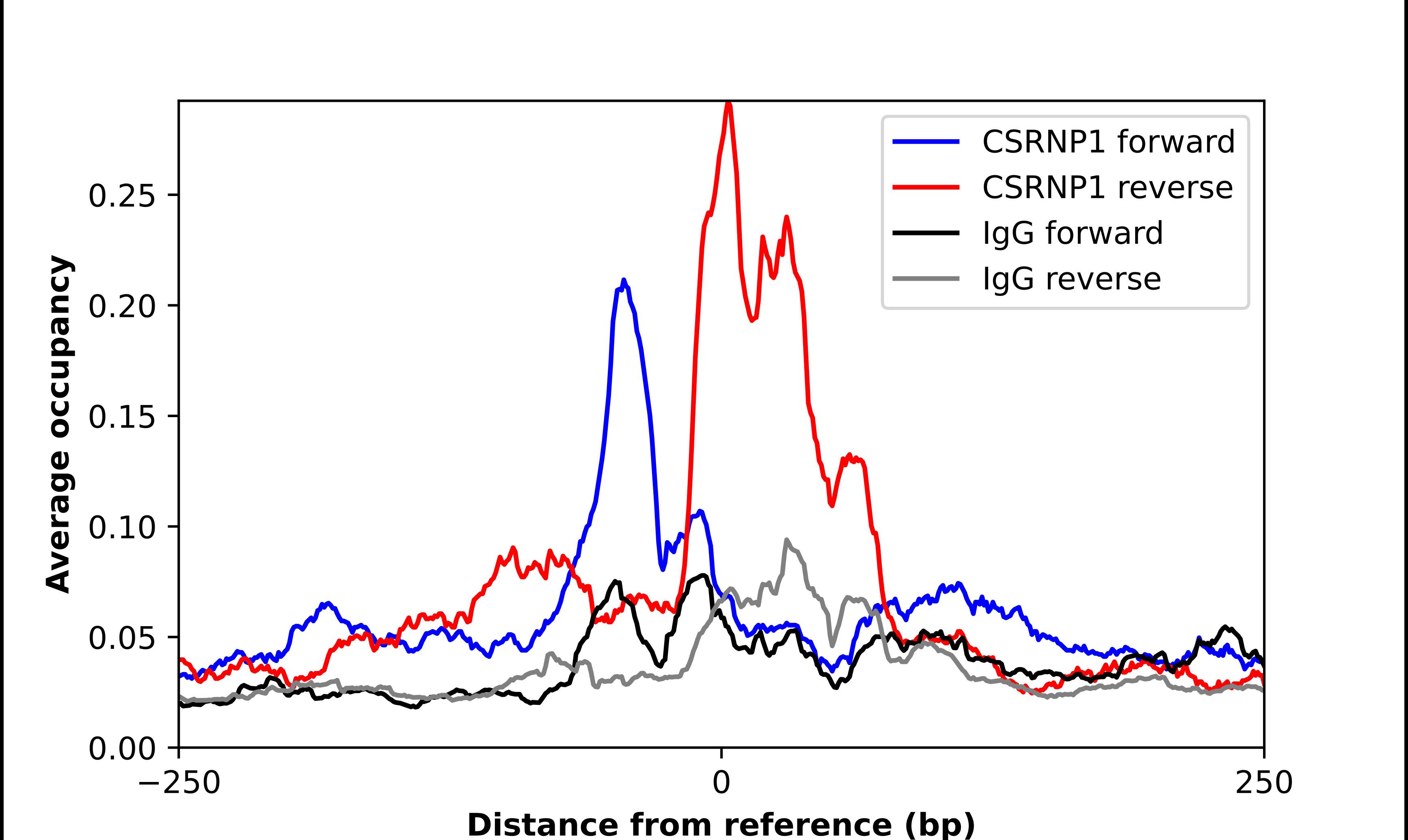 Chromatin Immunoprecipitation AXUD1 Antibody - BSA Free
