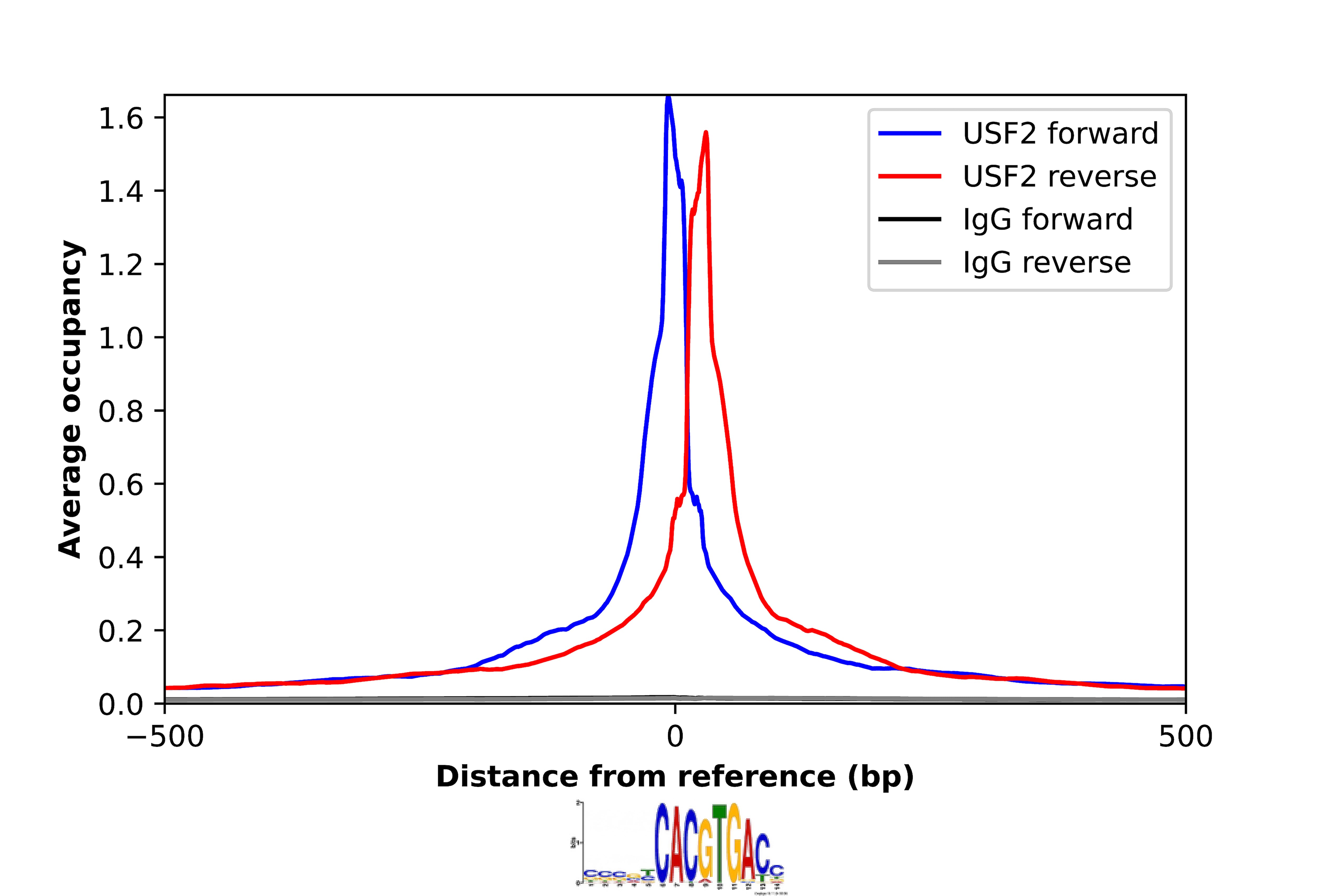 ChIP-Exo-Seq composite graph for Anti-USF2 (NBP2-56717) tested in K562 cells. Strand-specific reads (blue: forward, red: reverse) and IgG controls (black: forward, grey: reverse) are plotted against the distance from a composite set of reference binding sites. The antibody exhibits robust target enrichment compared to a non-specific IgG control and precisely reveals its structural organization around the binding site. Data generated by Prof. B. F. Pugh´s Lab at Cornell University.