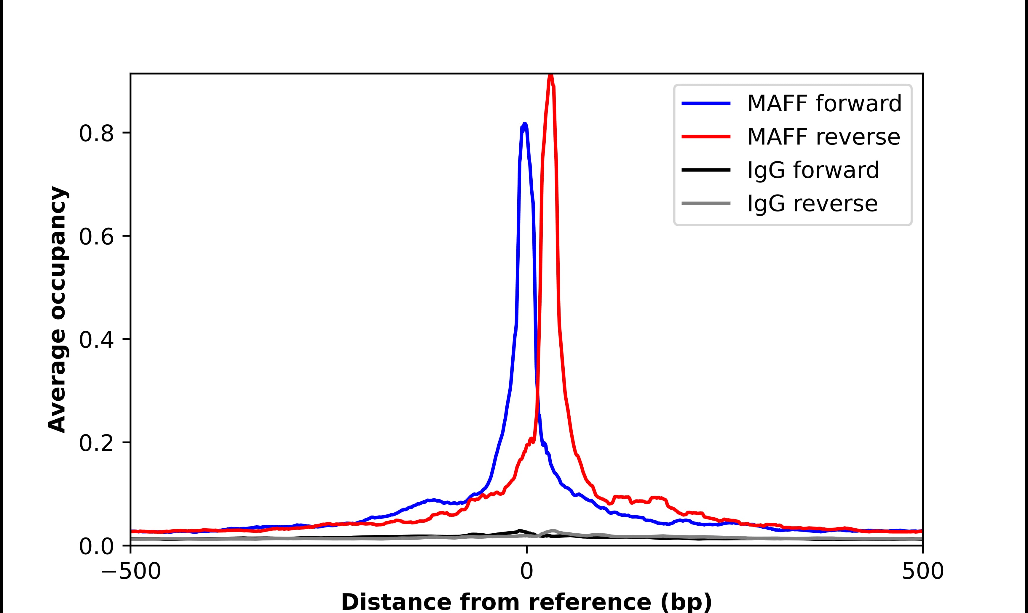 ChIP-Exo-Seq composite graph for Anti-MAFF (NBP2-56792) tested in K562 cells. Strand-specific reads (blue: forward, red: reverse) and IgG controls (black: forward, grey: reverse) are plotted against the distance from a composite set of reference binding sites. The antibody exhibits robust target enrichment compared to a non-specific IgG control and precisely reveals its structural organization around the binding site. Data generated by Prof. B. F. Pugh´s Lab at Cornell University.