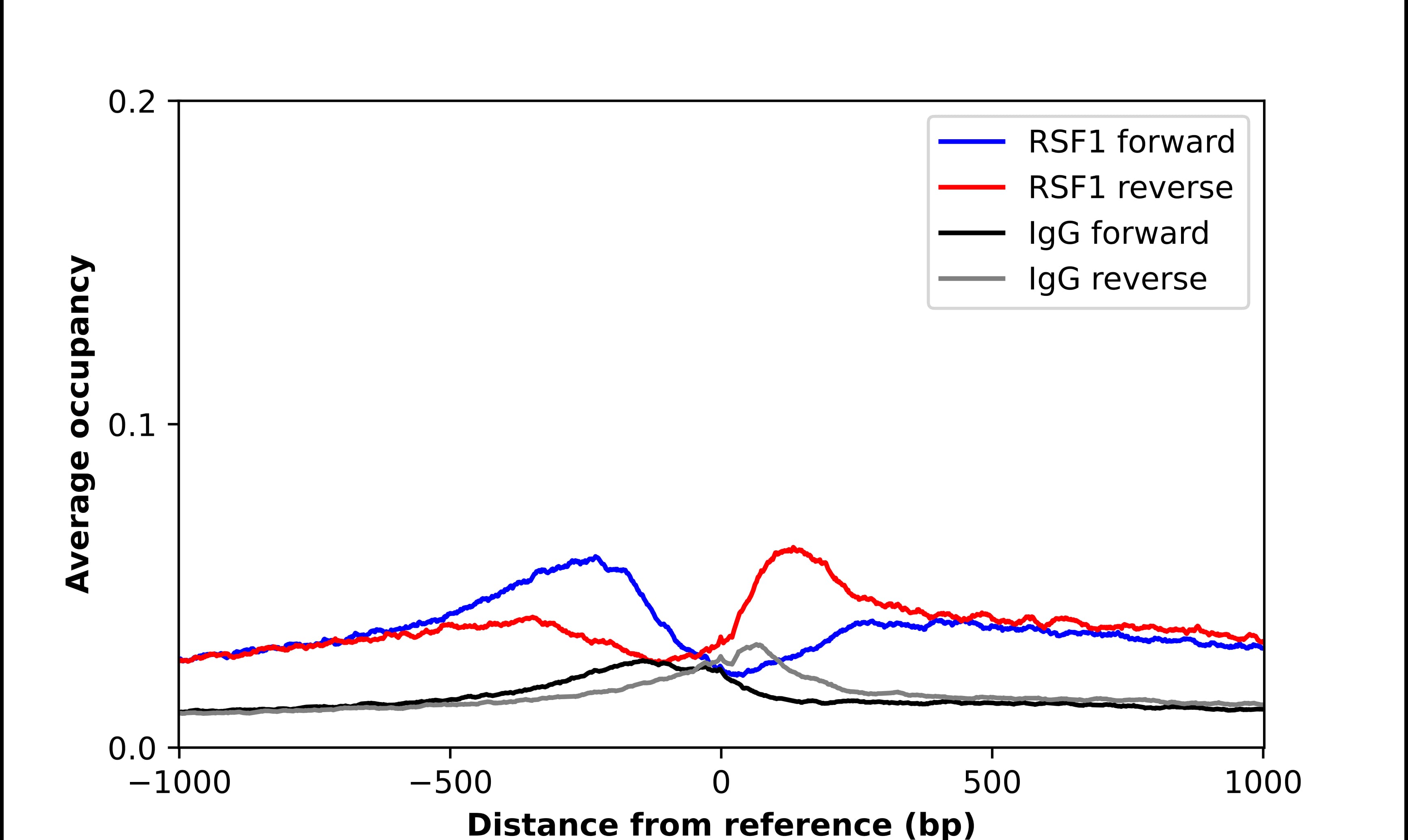 ChIP-Exo-Seq composite graph for Anti-RSF1 (NBP2-56940) tested in K562 cells. Strand-specific reads (blue: forward, red: reverse) and IgG controls (black: forward, grey: reverse) are plotted against the distance from a composite set of reference binding sites. The antibody exhibits robust target enrichment compared to a non-specific IgG control and precisely reveals its structural organization around the binding site. Data generated by Prof. B. F. Pugh´s Lab at Cornell University.