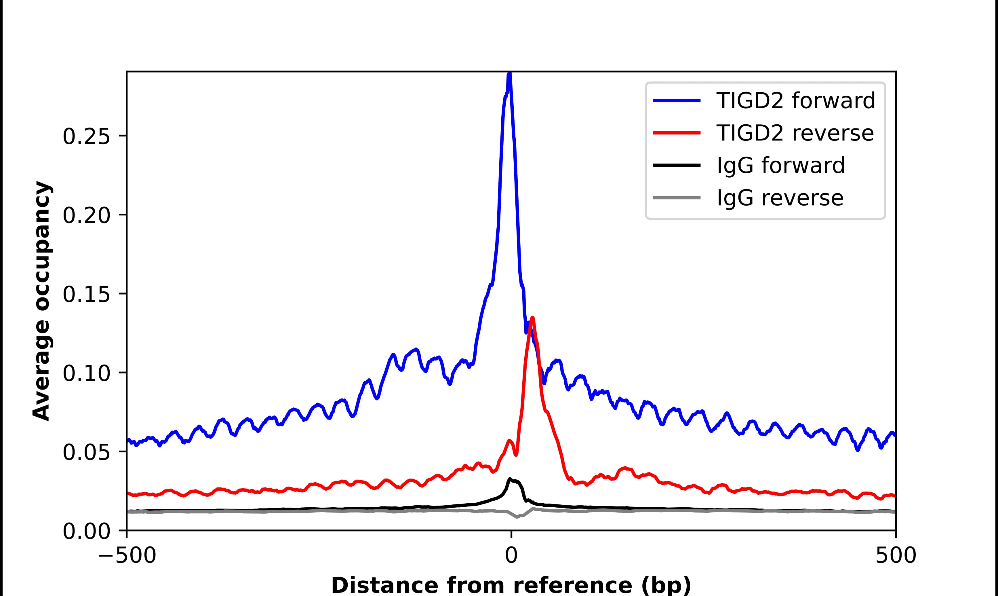 Chromatin Immunoprecipitation TIGD2 Antibody - BSA Free