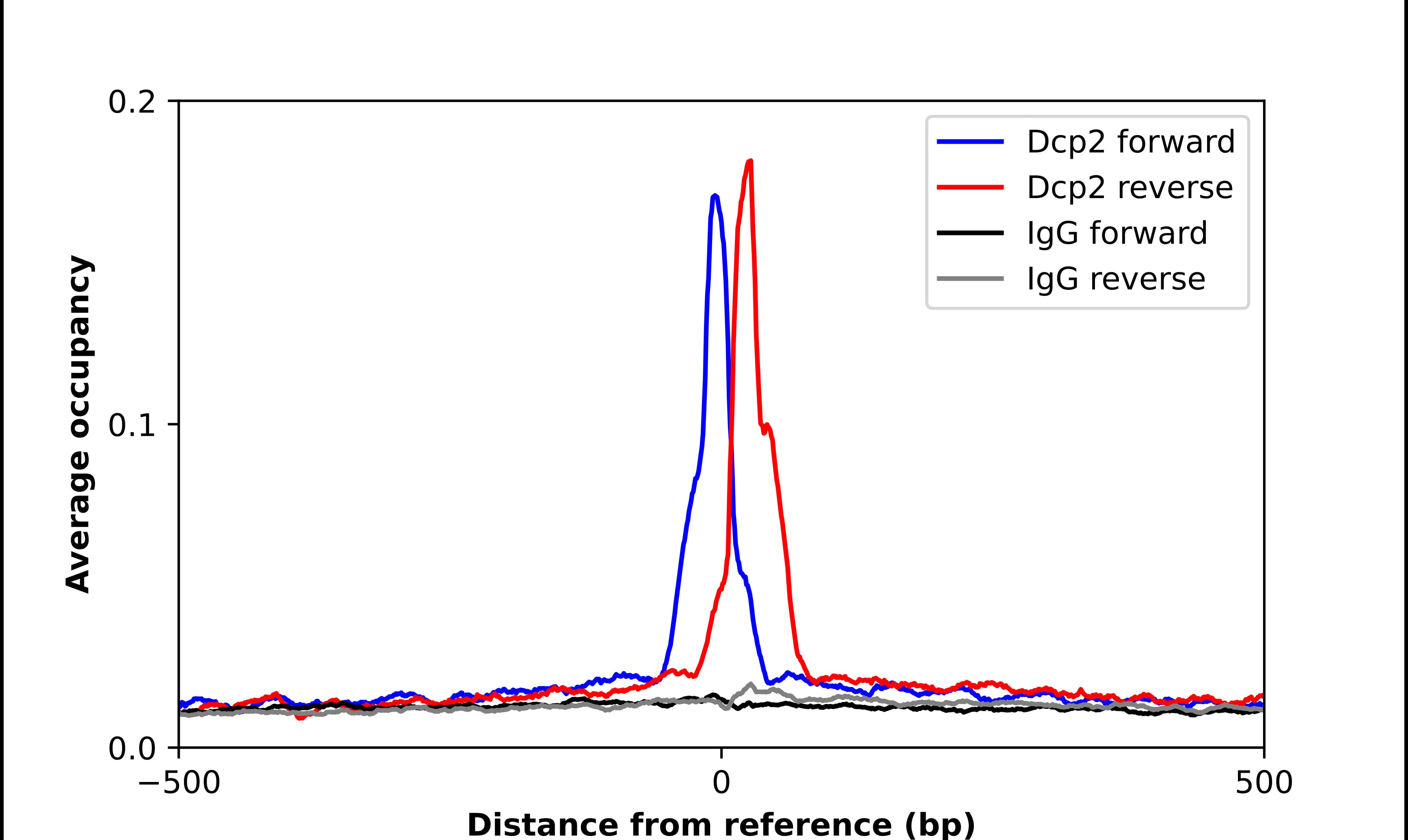 ChIP-Exo-Seq composite graph for Anti-DCP2 (NBP2-56996) tested in K562 cells. Strand-specific reads (blue: forward, red: reverse) and IgG controls (black: forward, grey: reverse) are plotted against the distance from a composite set of reference binding sites. The antibody exhibits robust target enrichment compared to a non-specific IgG control and precisely reveals its structural organization around the binding site. Data generated by Prof. B. F. Pugh´s Lab at Cornell University.