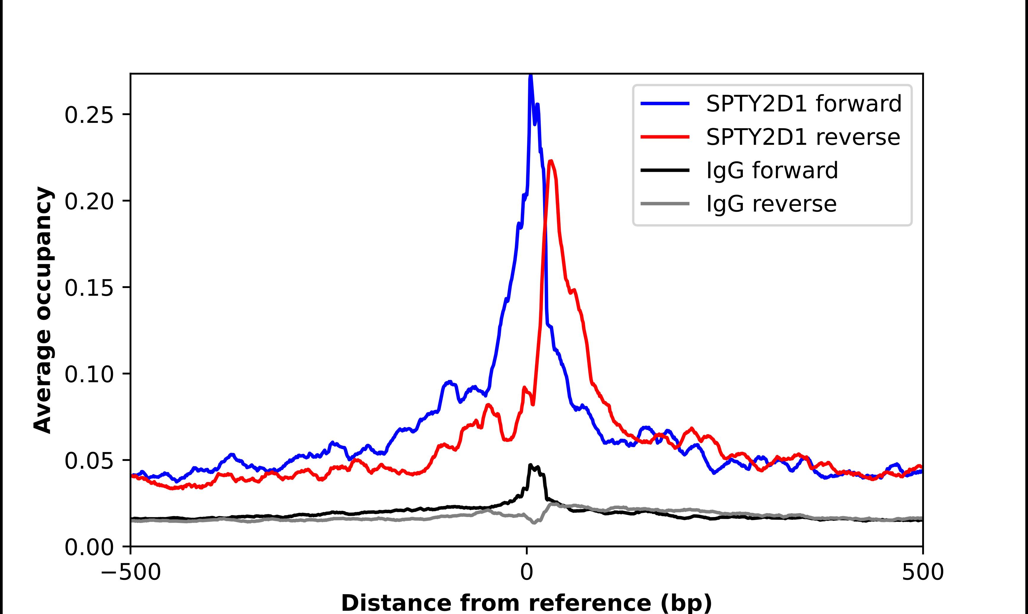 Chromatin Immunoprecipitation SPTY2D1 Antibody - BSA Free