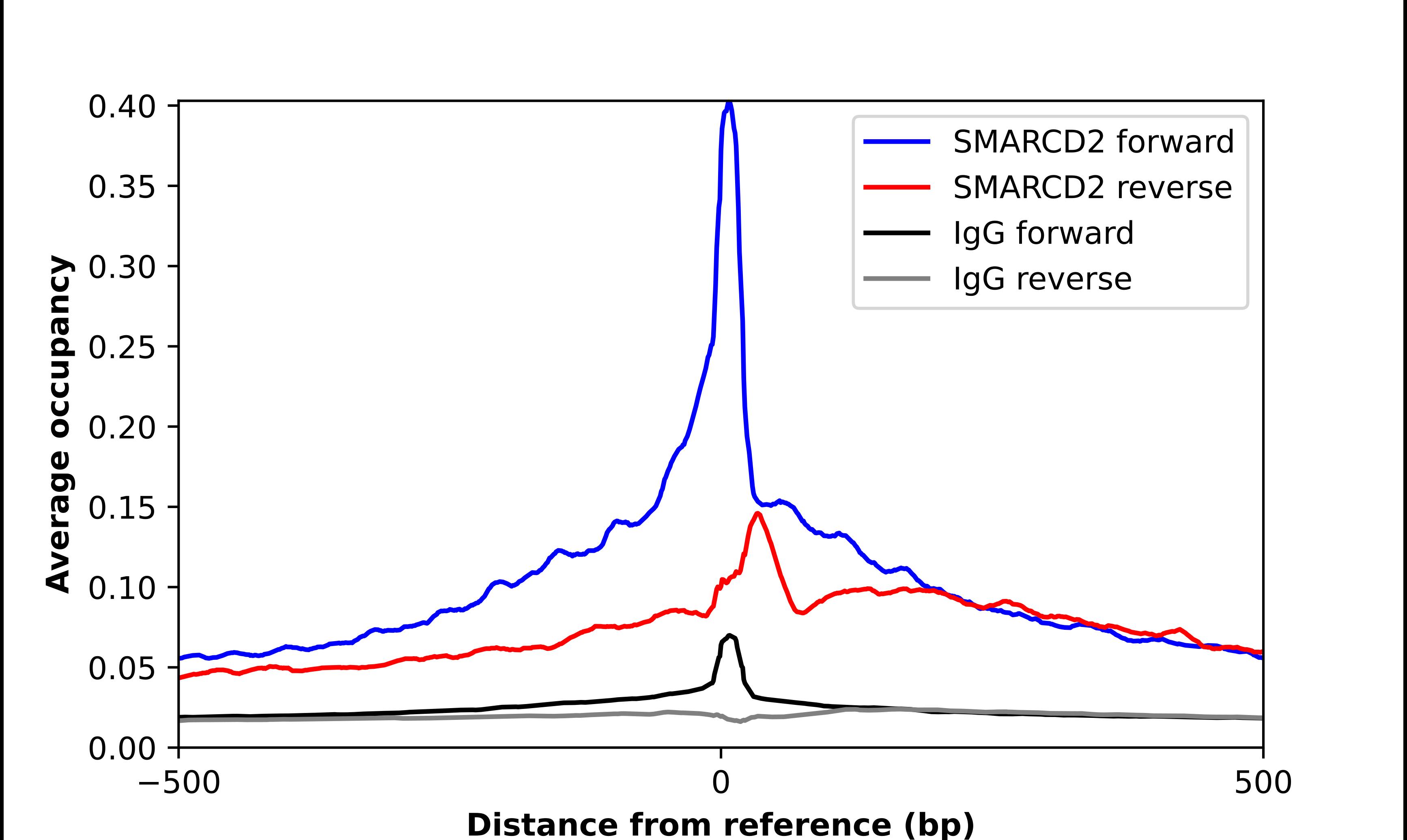 ChIP-Exo-Seq composite graph for Anti-SMARCD2 tested in K562 cells. Strand-specific reads (blue: forward, red: reverse) and IgG controls (black: forward, grey: reverse) are plotted against the distance from a composite set of reference binding sites. The antibody exhibits robust target enrichment compared to a non-specific IgG control and precisely reveals its structural organization around the binding site. Data generated by Prof. B. F. Pugh's Lab at Cornell University.