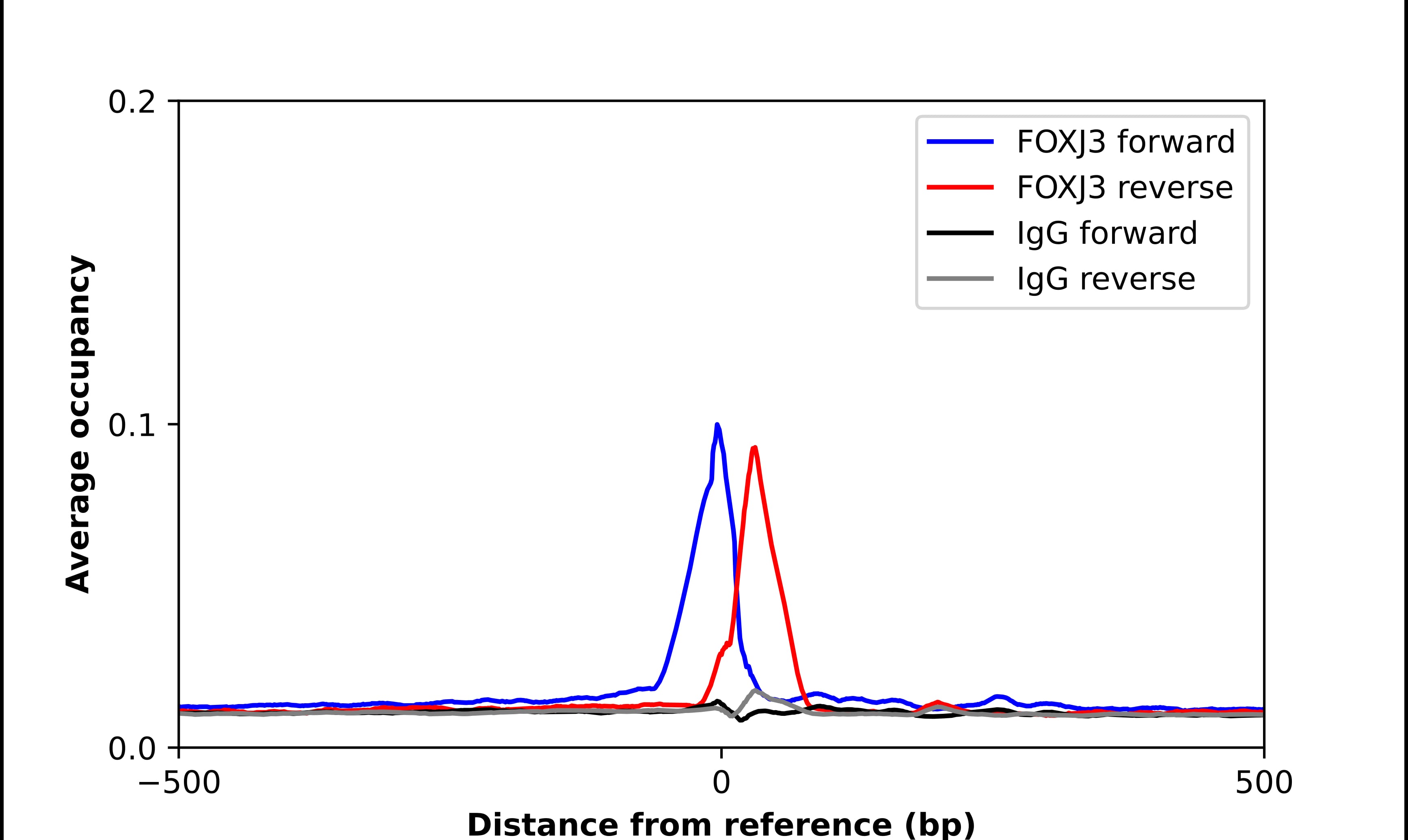 ChIP-Exo-Seq composite graph for Anti-FoxJ3 tested in K562 cells. Strand-specific reads (blue: forward, red: reverse) and IgG controls (black: forward, grey: reverse) are plotted against the distance from a composite set of reference binding sites. The antibody exhibits robust target enrichment compared to a non-specific IgG control and precisely reveals its structural organization around the binding site. Data generated by Prof. B. F. Pugh's Lab at Cornell University.