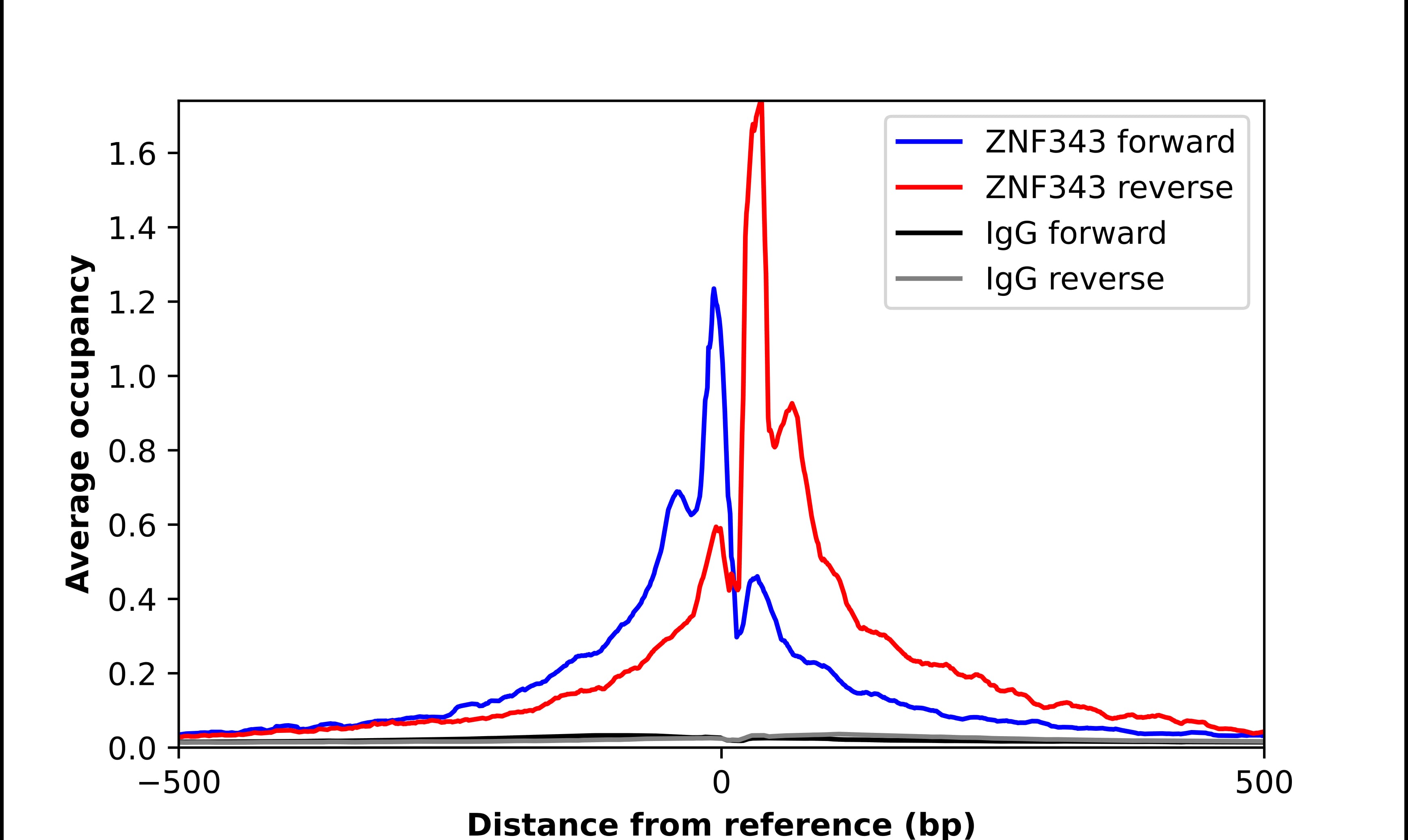Chromatin Immunoprecipitation ZNF343 Antibody - BSA Free
