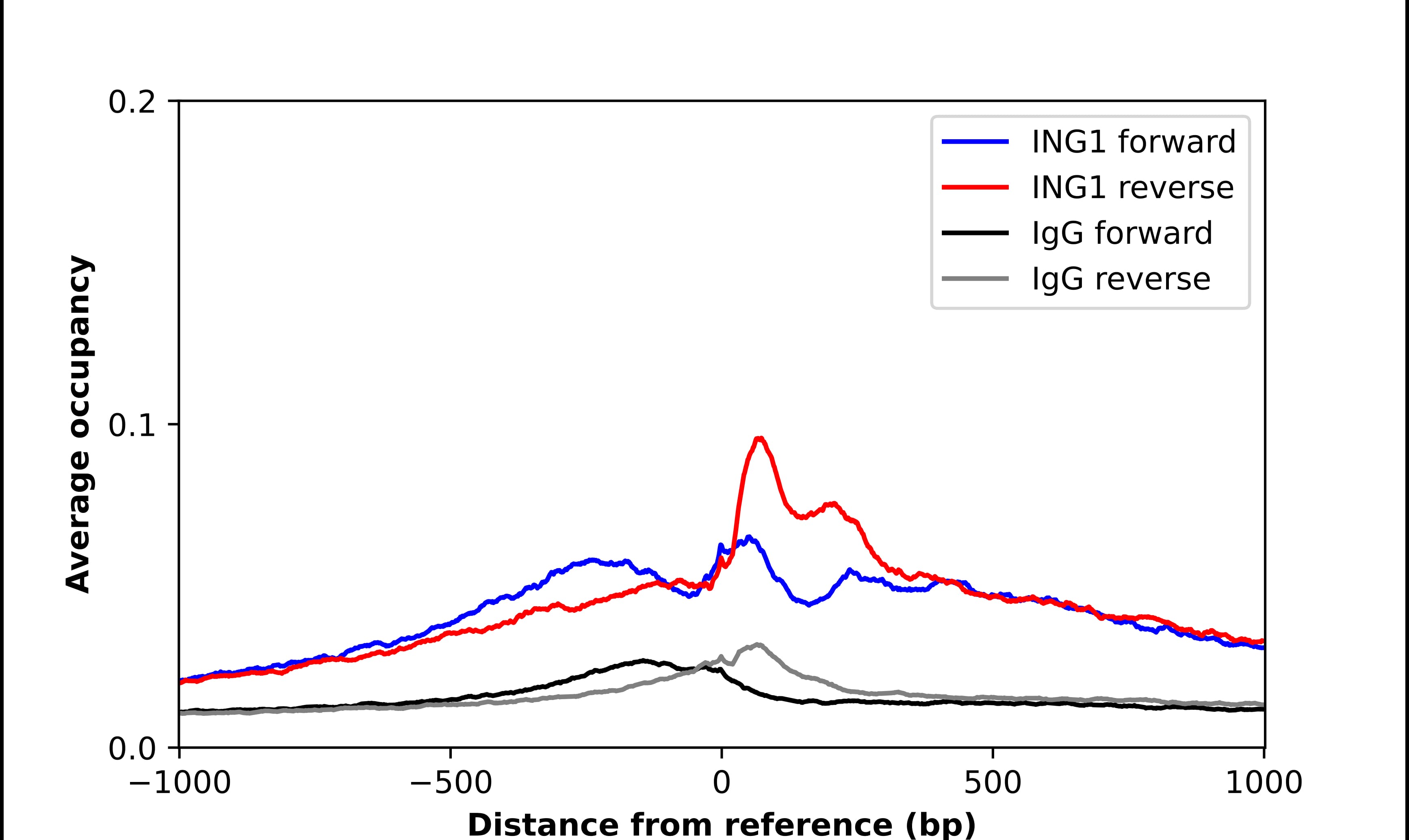 ChIP-Exo-Seq composite graph for Anti-ING1 (NBP2-57223) tested in K562 cells. Strand-specific reads (blue: forward, red: reverse) and IgG controls (black: forward, grey: reverse) are plotted against the distance from a composite set of reference binding sites. The antibody exhibits robust target enrichment compared to a non-specific IgG control and precisely reveals its structural organization around the binding site. Data generated by Prof. B. F. Pugh´s Lab at Cornell University.