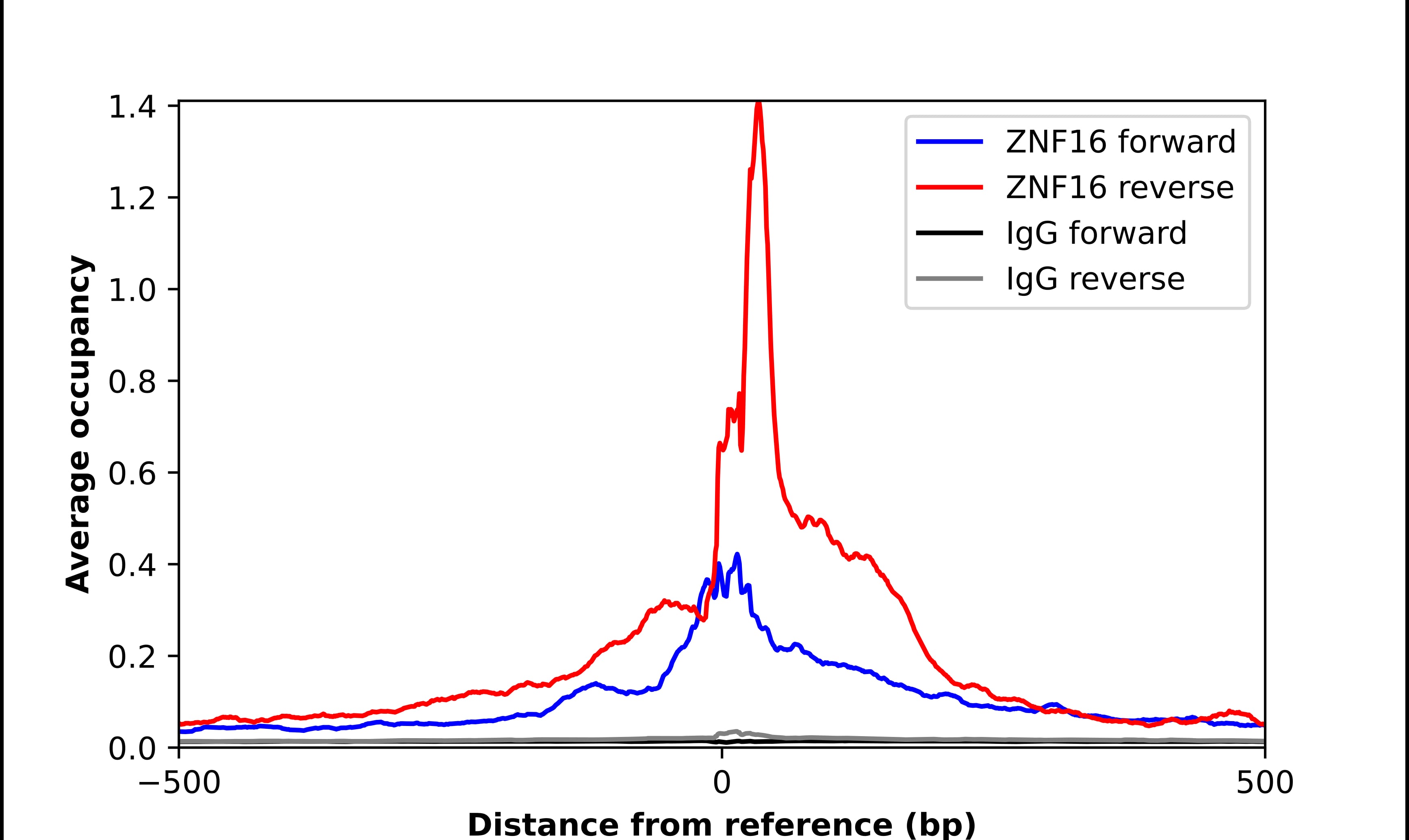 Chromatin Immunoprecipitation ZNF16 Antibody - BSA Free