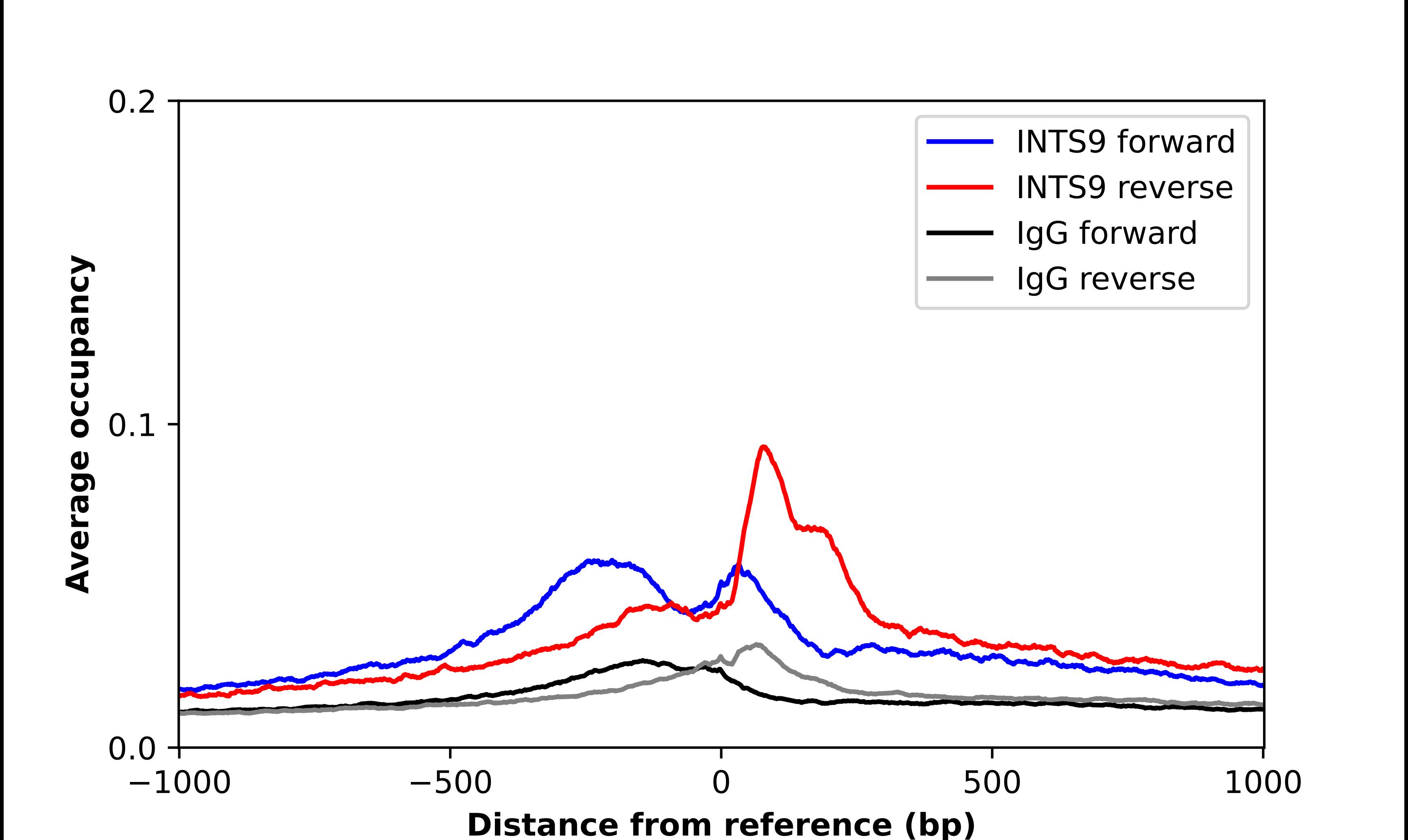 Chromatin Immunoprecipitation RC74 Antibody - BSA Free