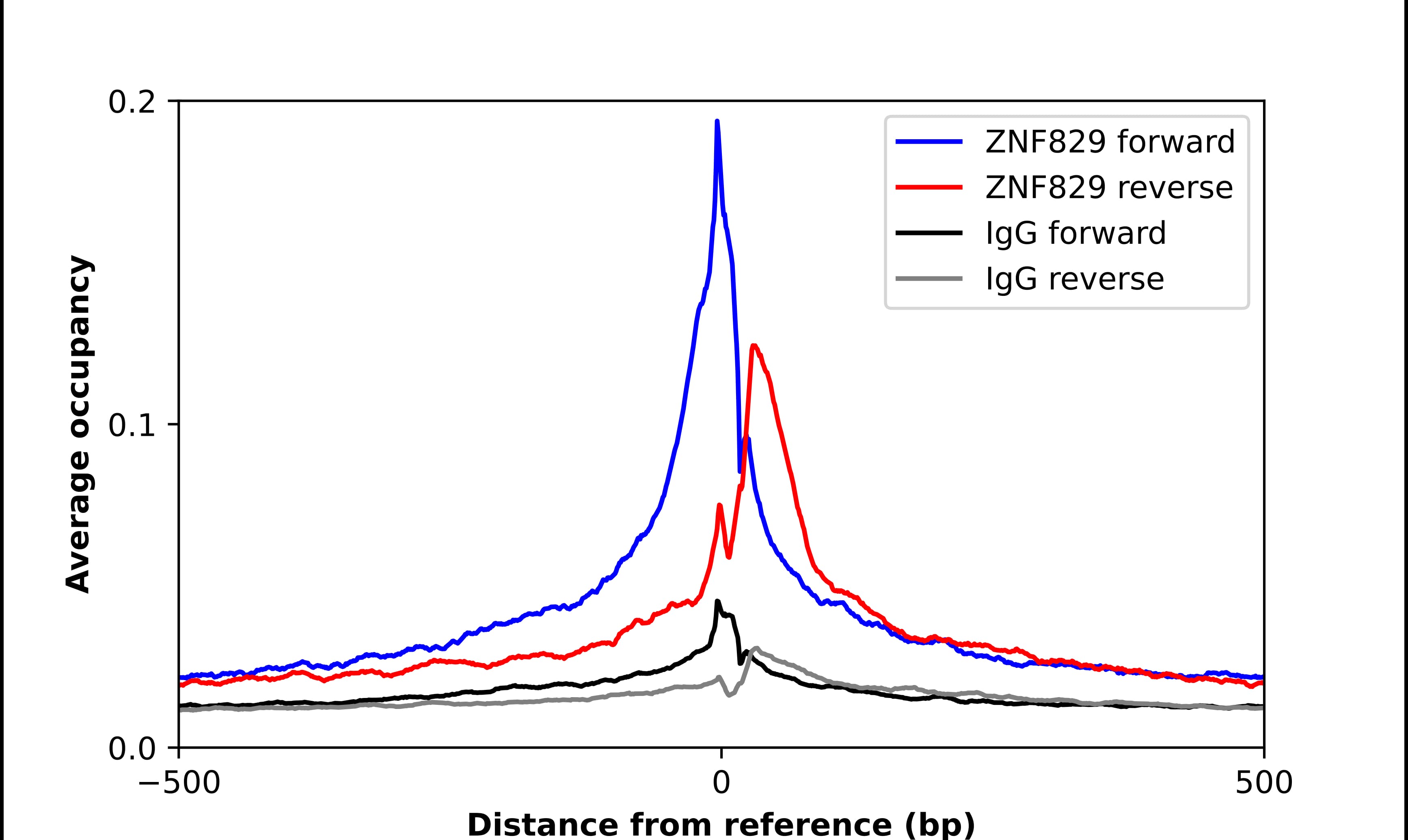 Chromatin Immunoprecipitation ZNF829 Antibody - BSA Free