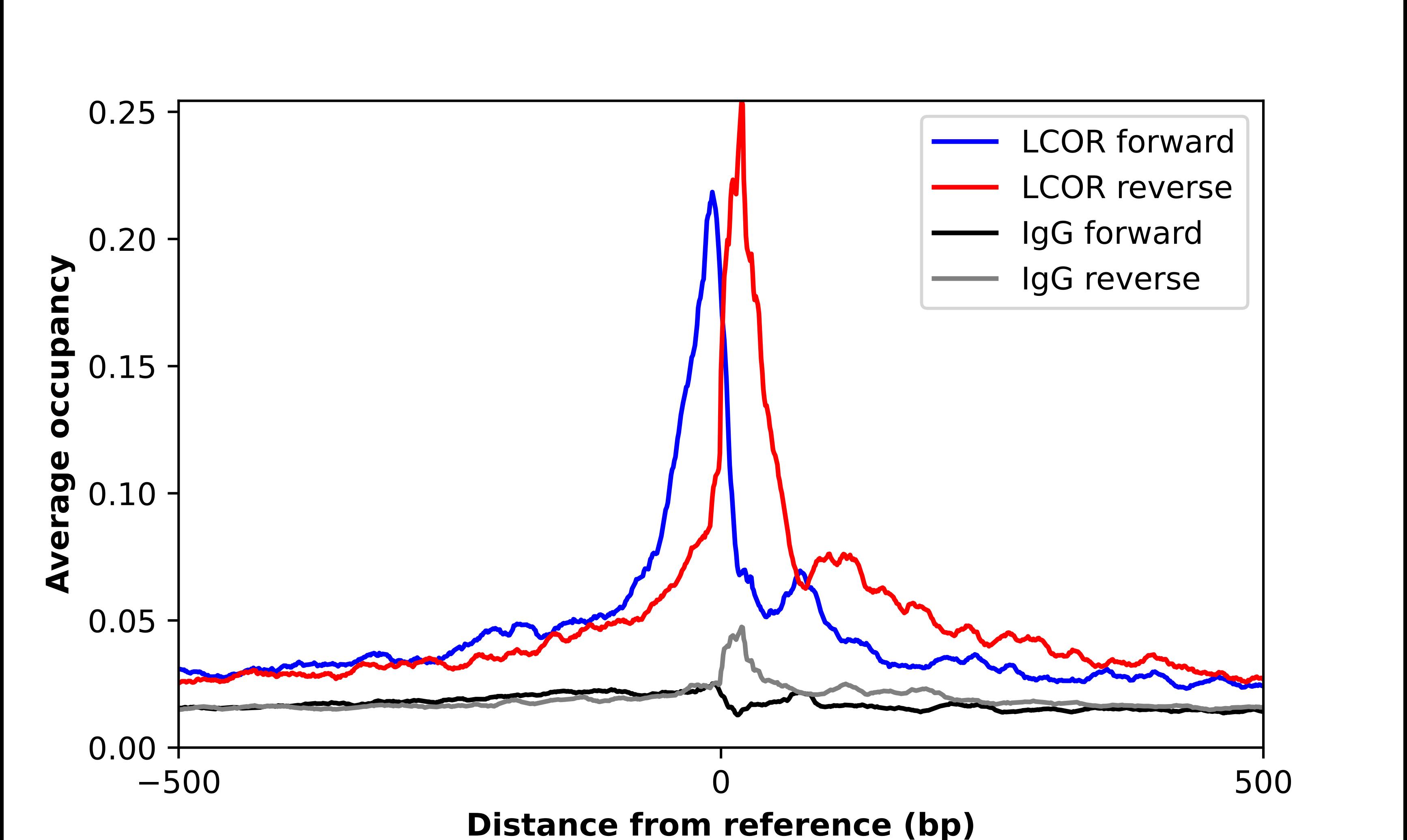 ChIP-Exo-Seq composite graph for Anti-LCoR tested in K562 cells. Strand-specific reads (blue: forward, red: reverse) and IgG controls (black: forward, grey: reverse) are plotted against the distance from a composite set of reference binding sites. The antibody exhibits robust target enrichment compared to a non-specific IgG control and precisely reveals its structural organization around the binding site. Data generated by Prof. B. F. Pugh's Lab at Cornell University.