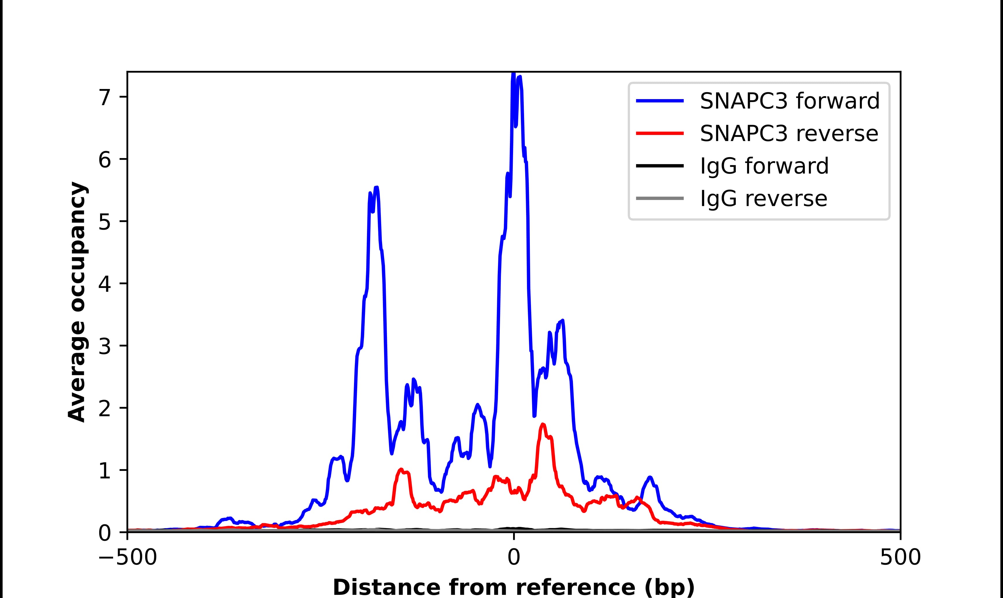 Chromatin Immunoprecipitation SNAPC3 Antibody - BSA Free