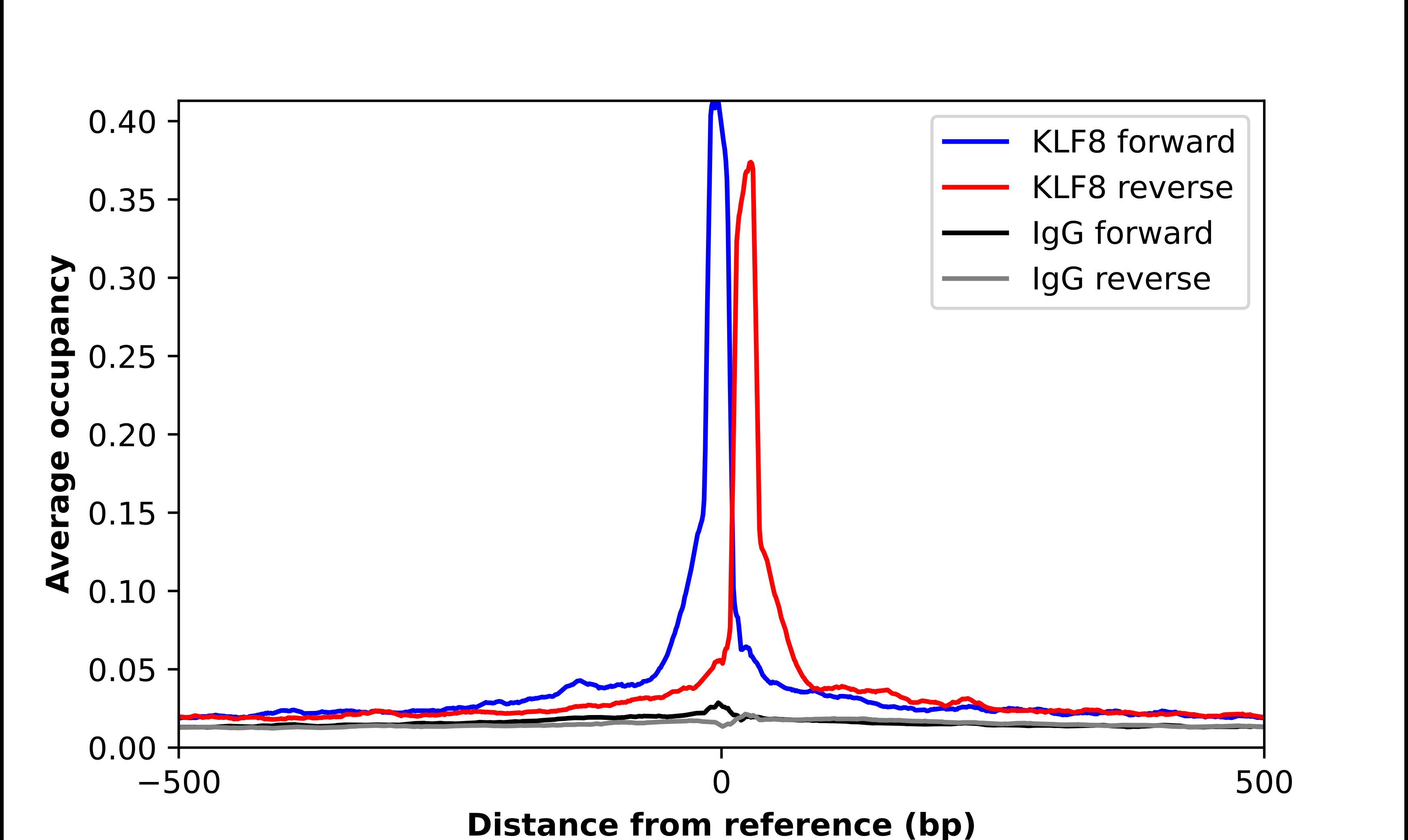 ChIP-Exo-Seq composite graph for Anti-KLF8 tested in K562 cells. Strand-specific reads (blue: forward, red: reverse) and IgG controls (black: forward, grey: reverse) are plotted against the distance from a composite set of reference binding sites. The antibody exhibits robust target enrichment compared to a non-specific IgG control and precisely reveals its structural organization around the binding site. Data generated by Prof. B. F. Pugh's Lab at Cornell University.