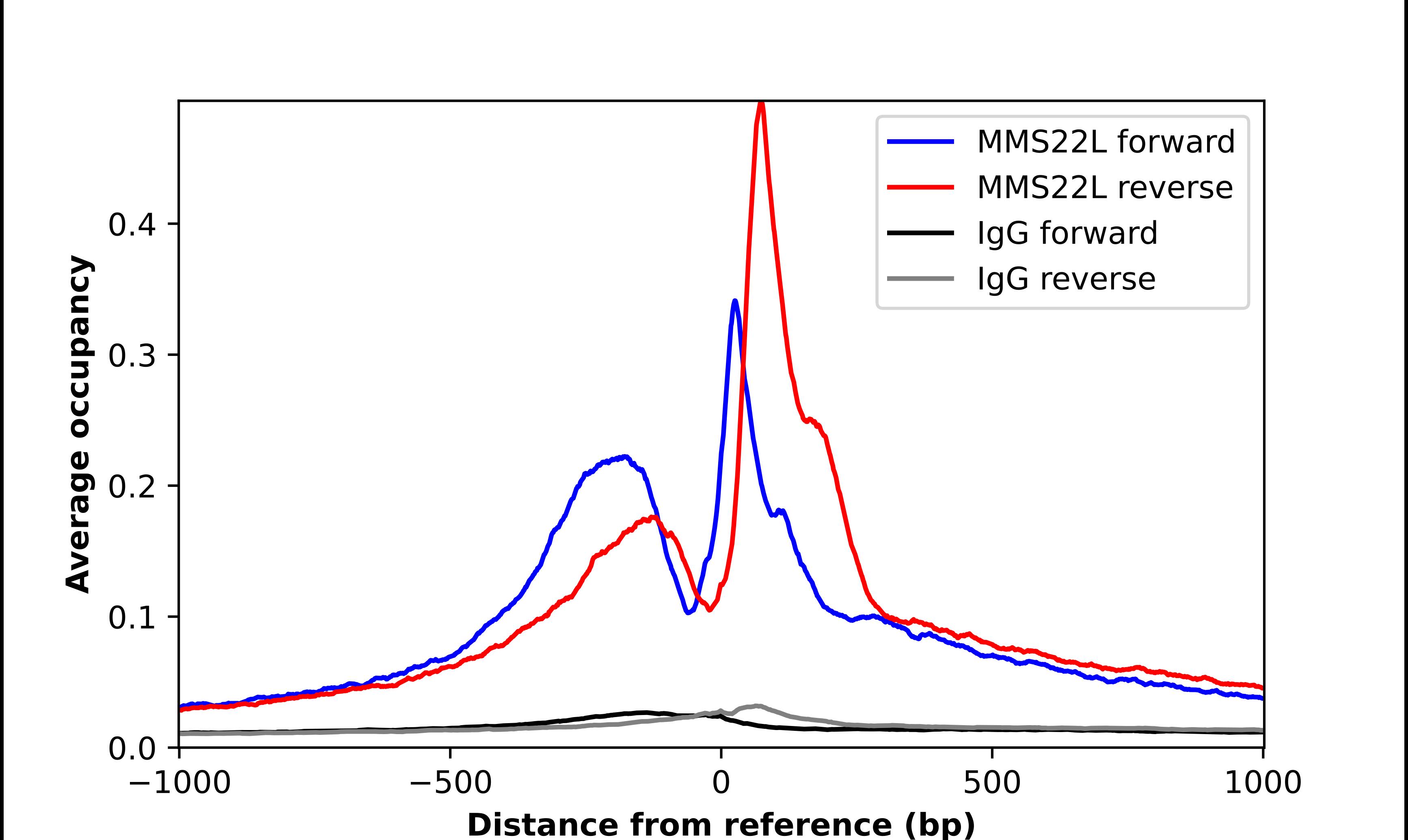 Chromatin Immunoprecipitation MMS22L Antibody - BSA Free