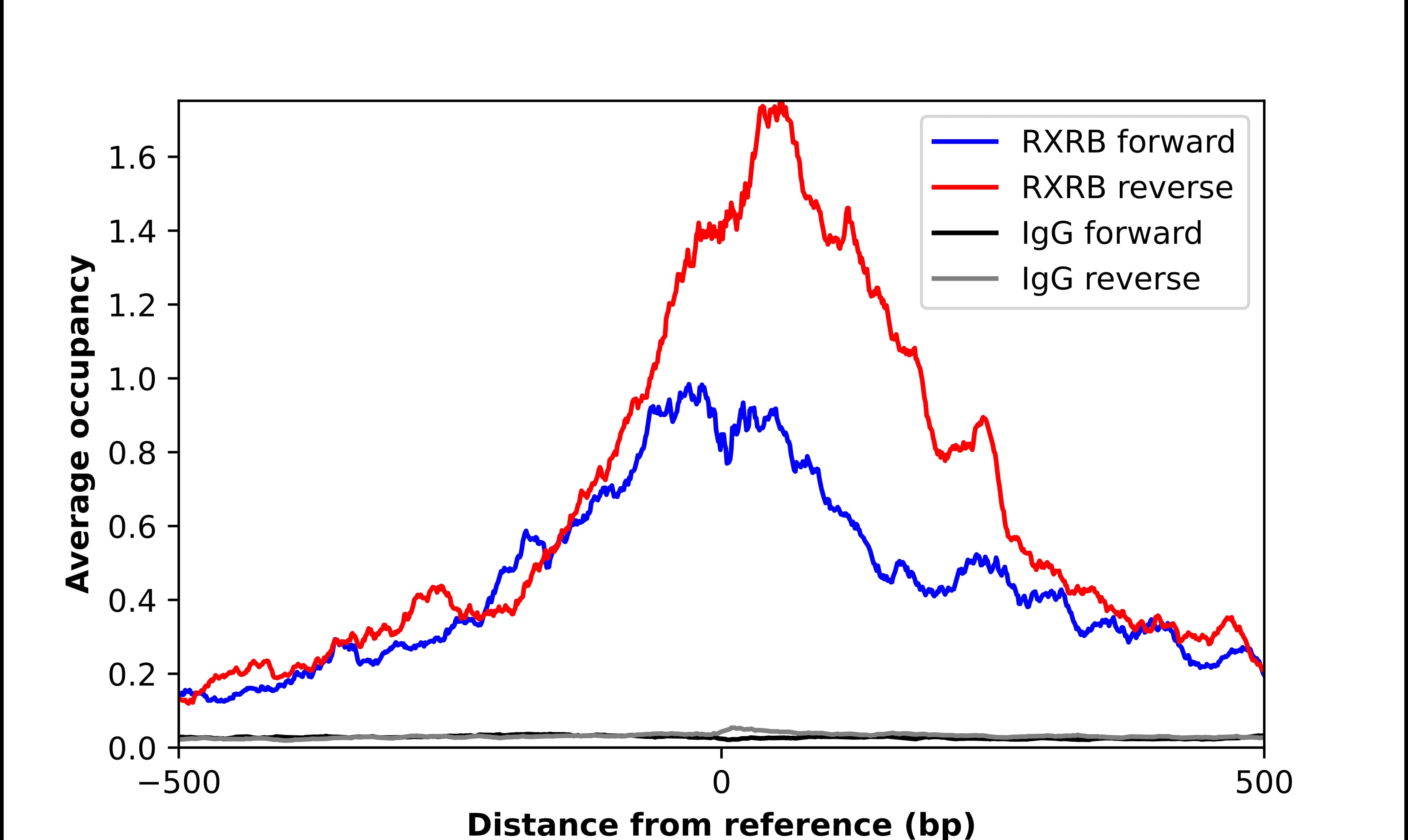 ChIP-Exo-Seq composite graph for Anti-RXRB (NBP2-57755) tested in K562 cells. Strand-specific reads (blue: forward, red: reverse) and IgG controls (black: forward, grey: reverse) are plotted against the distance from a composite set of reference binding sites. The antibody exhibits robust target enrichment compared to a non-specific IgG control and precisely reveals its structural organization around the binding site. Data generated by Prof. B. F. Pugh´s Lab at Cornell University.