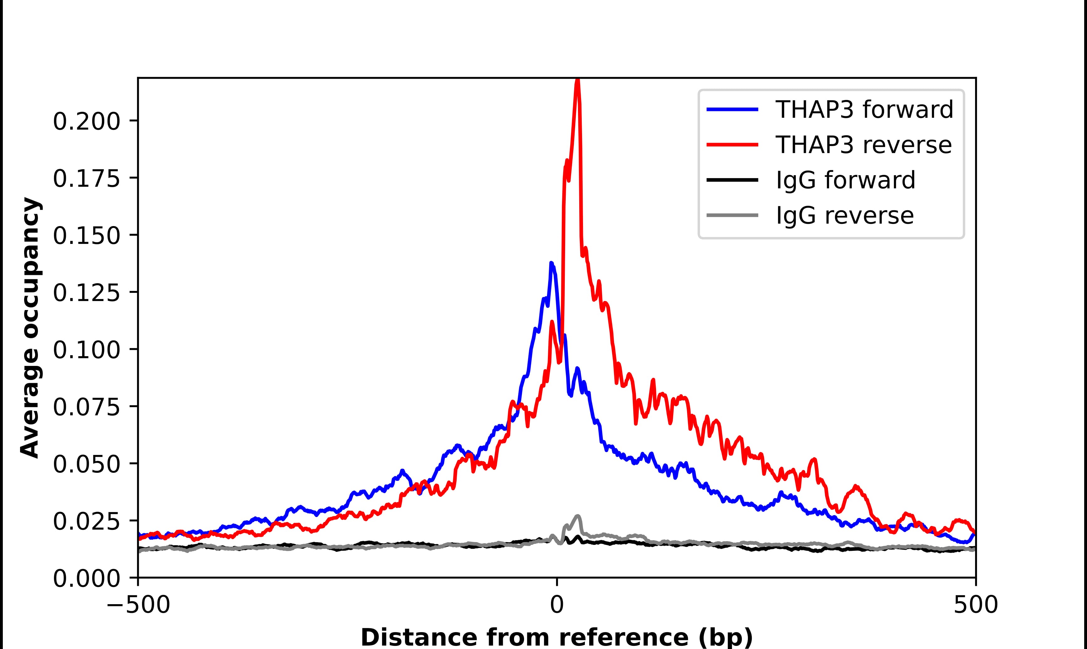 ChIP-Exo-Seq composite graph for Anti-THAP3 tested in K562 cells. Strand-specific reads (blue: forward, red: reverse) and IgG controls (black: forward, grey: reverse) are plotted against the distance from a composite set of reference binding sites. The antibody exhibits robust target enrichment compared to a non-specific IgG control and precisely reveals its structural organization around the binding site. Data generated by Prof. B. F. Pugh's Lab at Cornell University.