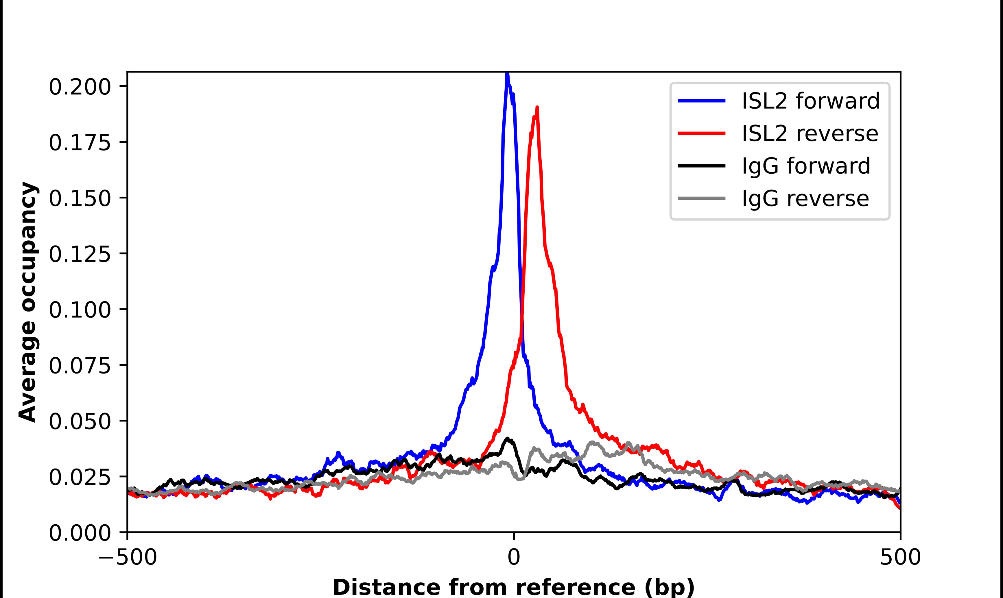 ChIP-Exo-Seq composite graph for Anti-Islet-2 tested in K562 cells. Strand-specific reads (blue: forward, red: reverse) and IgG controls (black: forward, grey: reverse) are plotted against the distance from a composite set of reference binding sites. The antibody exhibits robust target enrichment compared to a non-specific IgG control and precisely reveals its structural organization around the binding site. Data generated by Prof. B. F. Pugh's Lab at Cornell University.