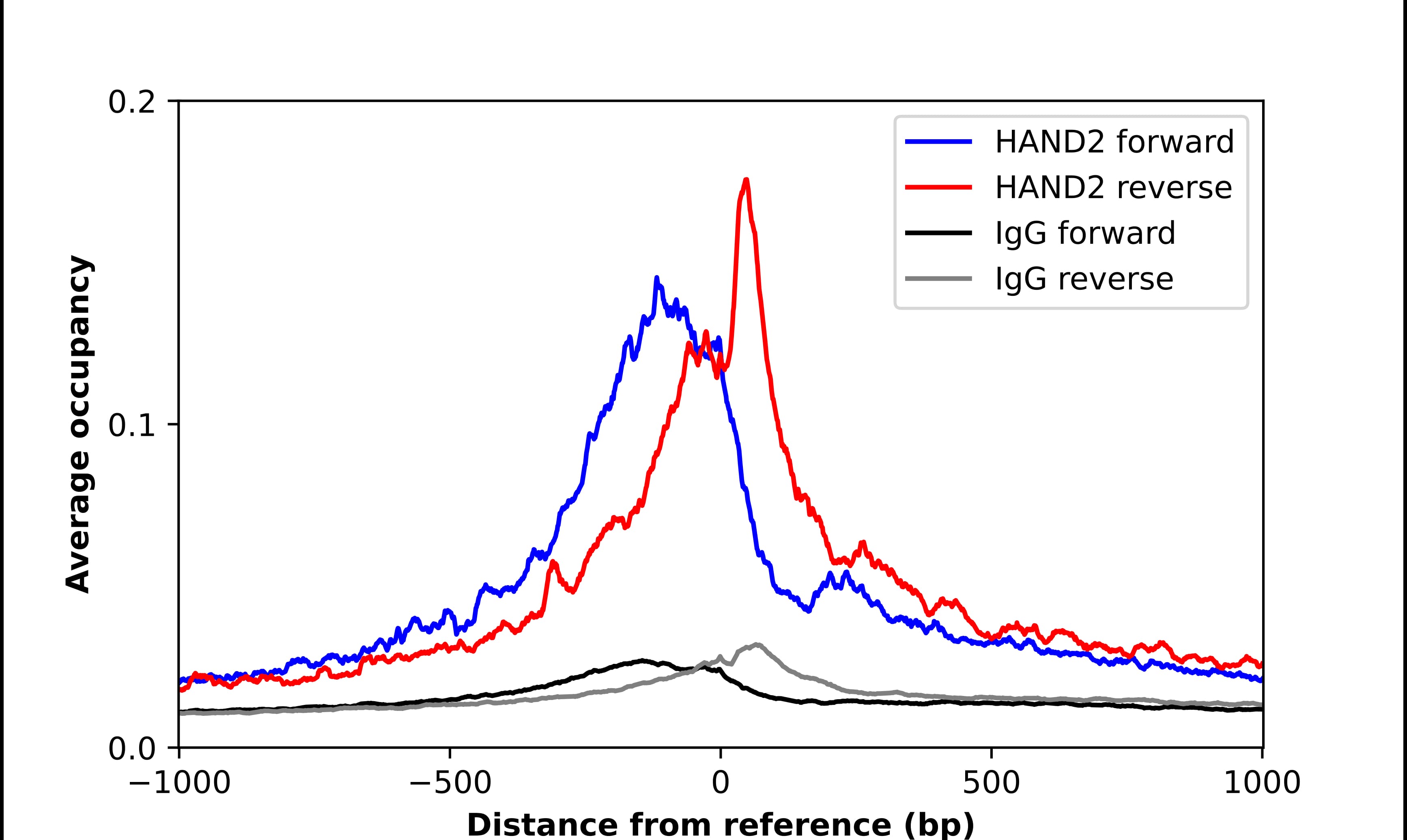 ChIP-Exo-Seq composite graph for Anti-HAND2 (NBP2-58062) tested in K562 cells. Strand-specific reads (blue: forward, red: reverse) and IgG controls (black: forward, grey: reverse) are plotted against the distance from a composite set of reference binding sites. The antibody exhibits robust target enrichment compared to a non-specific IgG control and precisely reveals its structural organization around the binding site. Data generated by Prof. B. F. Pugh´s Lab at Cornell University.