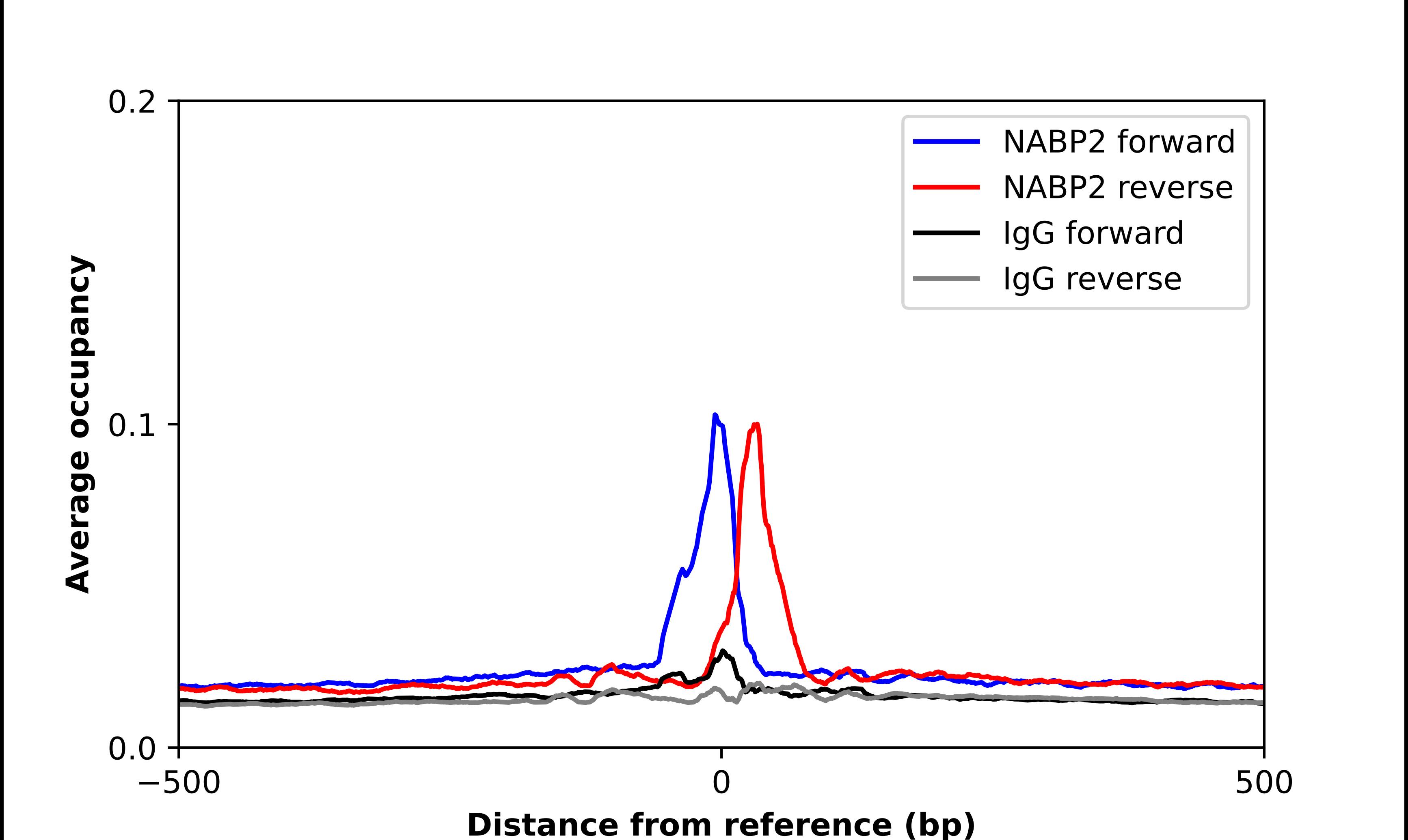 ChIP-Exo-Seq composite graph for Anti-OBFC2B tested in K562 cells. Strand-specific reads (blue: forward, red: reverse) and IgG controls (black: forward, grey: reverse) are plotted against the distance from a composite set of reference binding sites. The antibody exhibits robust target enrichment compared to a non-specific IgG control and precisely reveals its structural organization around the binding site. Data generated by Prof. B. F. Pugh's Lab at Cornell University.