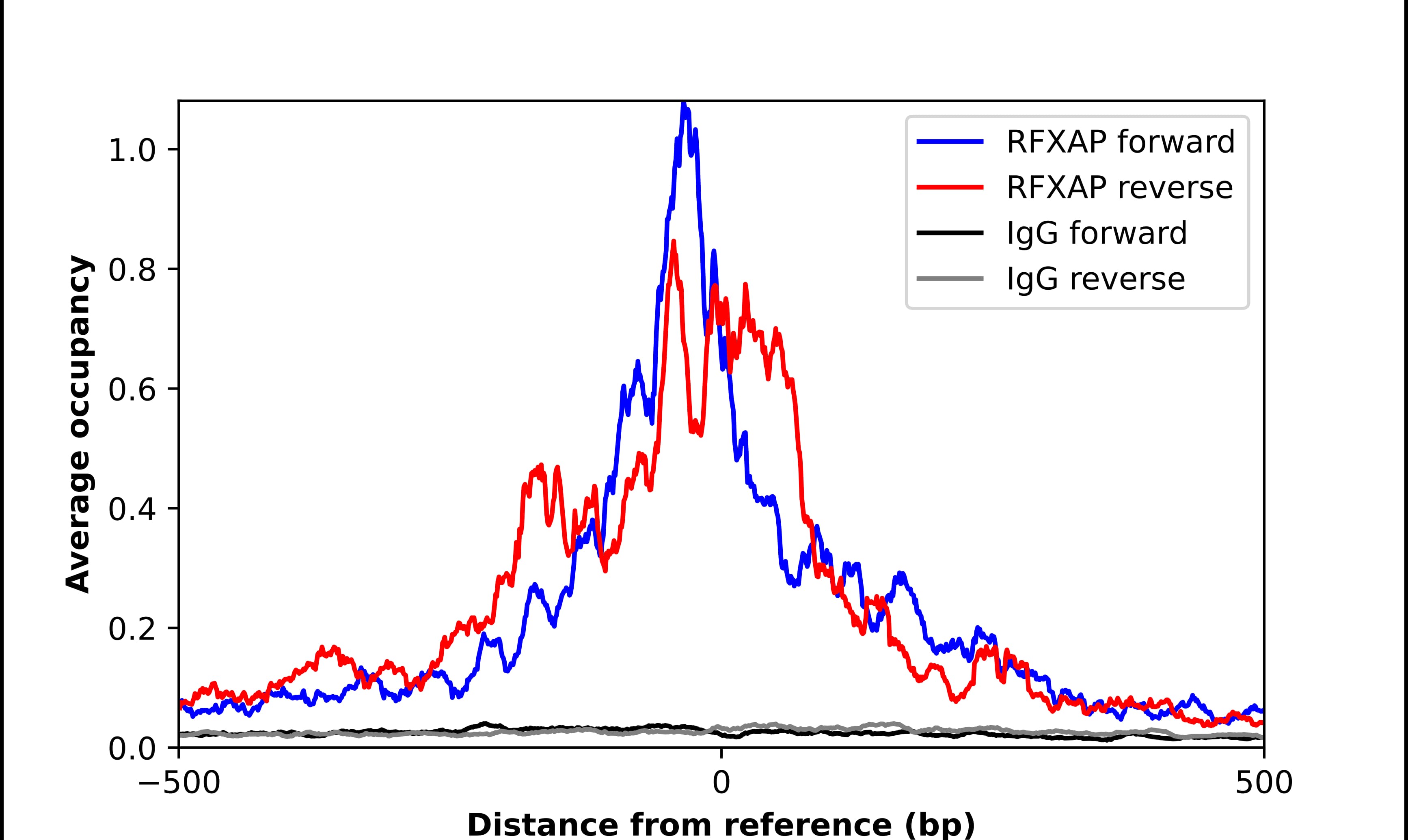 Chromatin Immunoprecipitation RFXAP Antibody - BSA Free