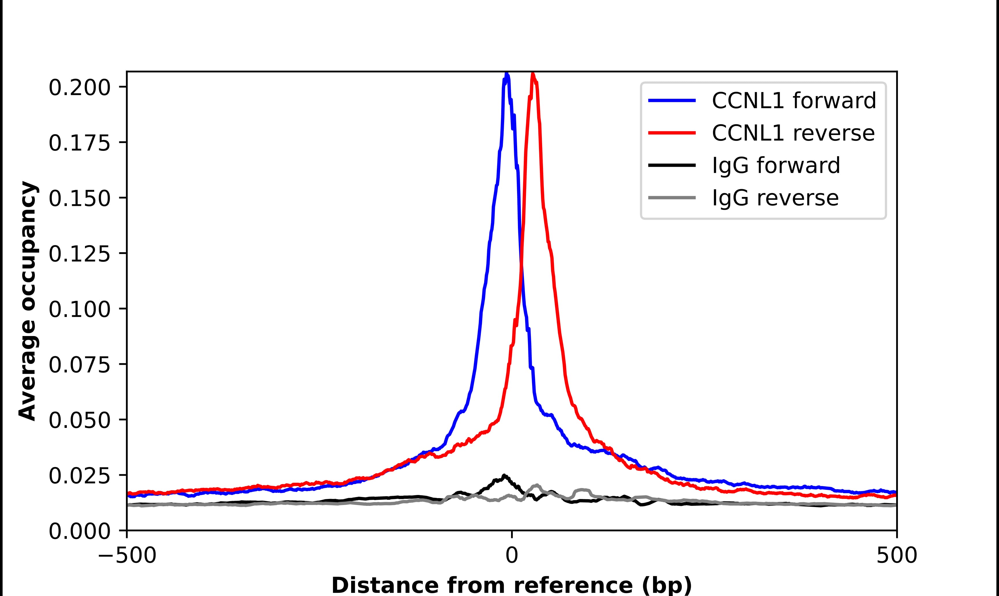 Chromatin Immunoprecipitation CCNL1 Antibody - BSA Free