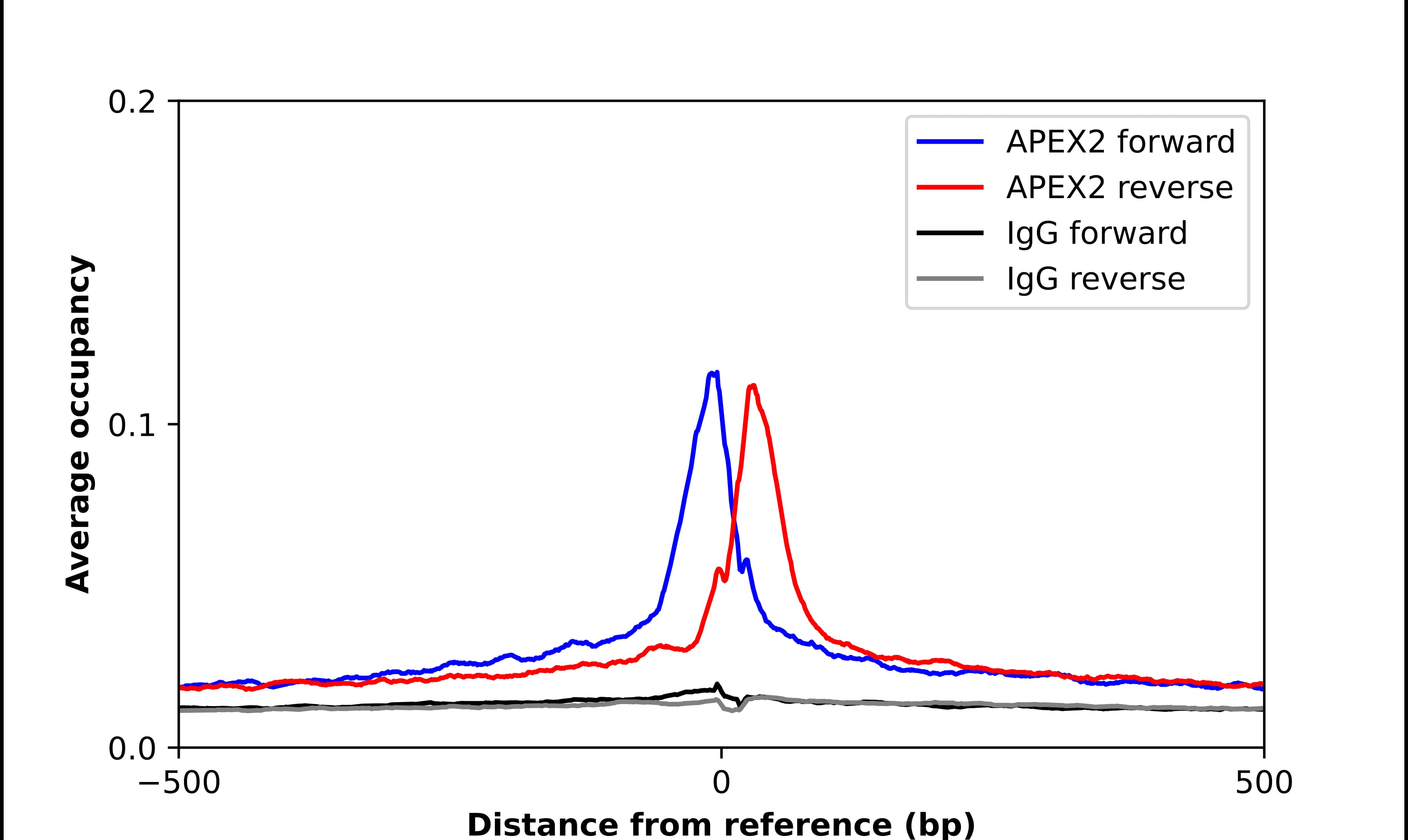 Chromatin Immunoprecipitation APEX2 Antibody - BSA Free