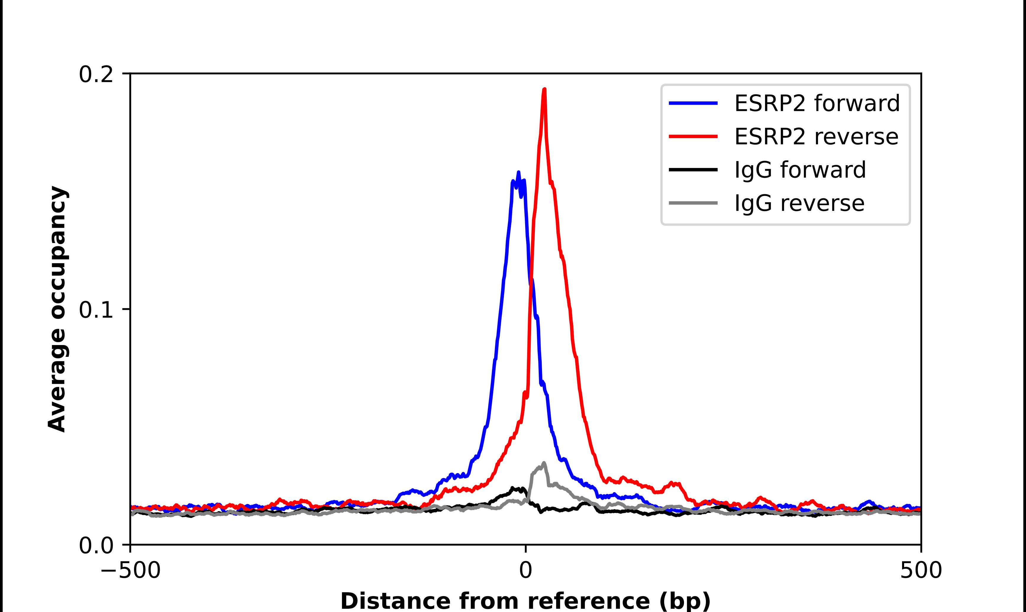 Chromatin Immunoprecipitation ESRP2 Antibody - BSA Free