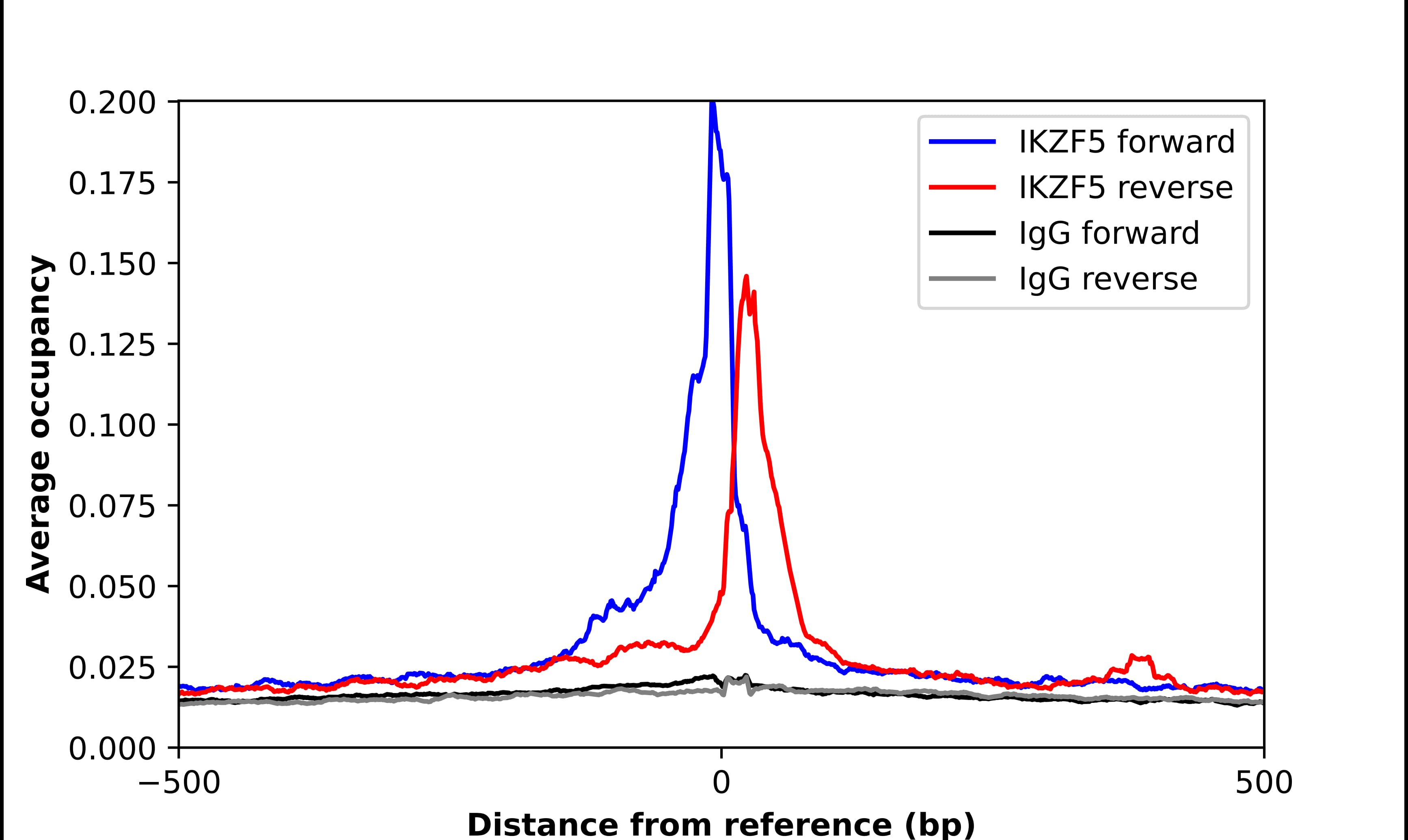 ChIP-Exo-Seq composite graph for Anti-IKZF5 tested in K562 cells. Strand-specific reads (blue: forward, red: reverse) and IgG controls (black: forward, grey: reverse) are plotted against the distance from a composite set of reference binding sites. The antibody exhibits robust target enrichment compared to a non-specific IgG control and precisely reveals its structural organization around the binding site. Data generated by Prof. B. F. Pugh's Lab at Cornell University.