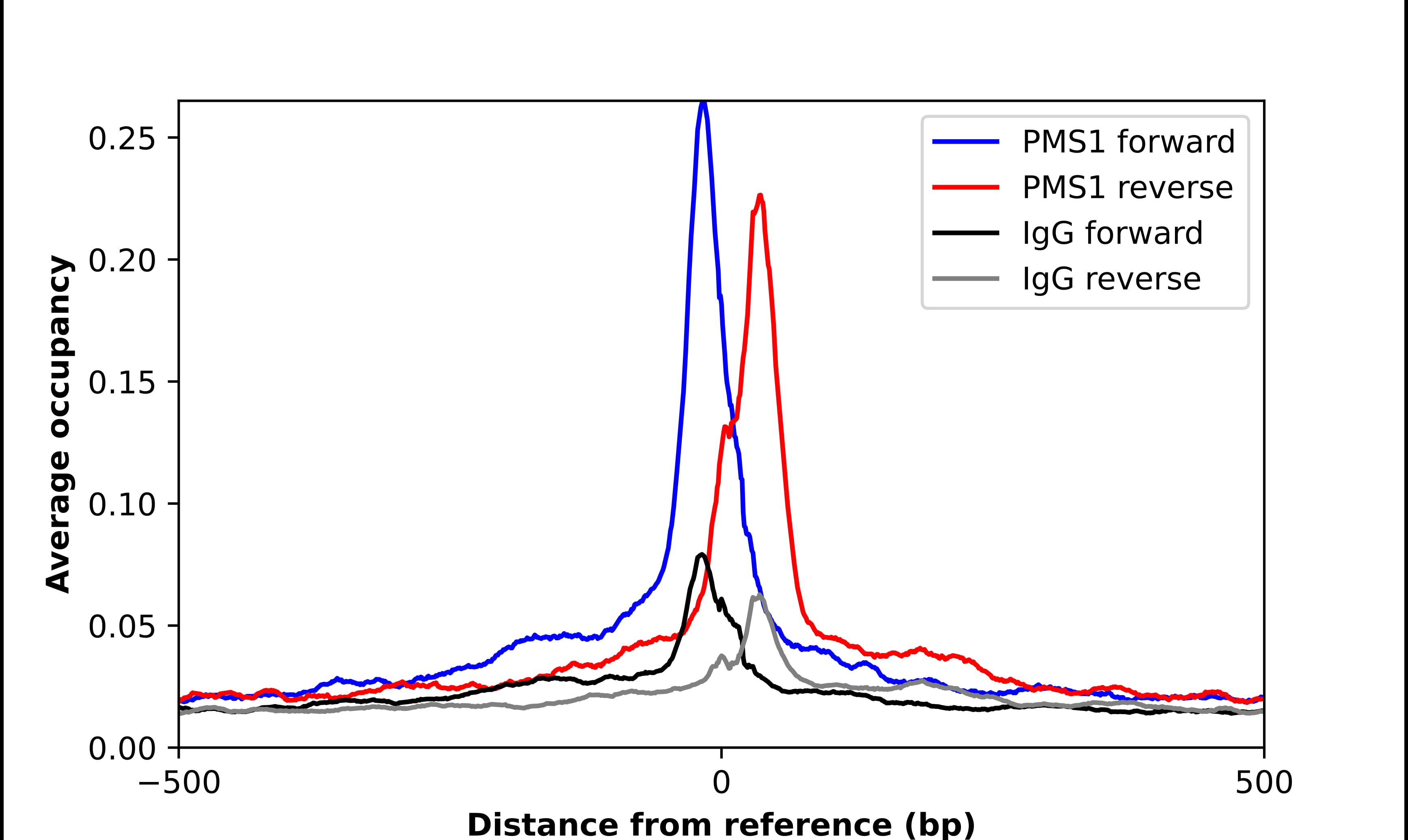 ChIP-Exo-Seq composite graph for Anti-PMS1 tested in K562 cells. Strand-specific reads (blue: forward, red: reverse) and IgG controls (black: forward, grey: reverse) are plotted against the distance from a composite set of reference binding sites. The antibody exhibits robust target enrichment compared to a non-specific IgG control and precisely reveals its structural organization around the binding site. Data generated by Prof. B. F. Pugh's Lab at Cornell University.