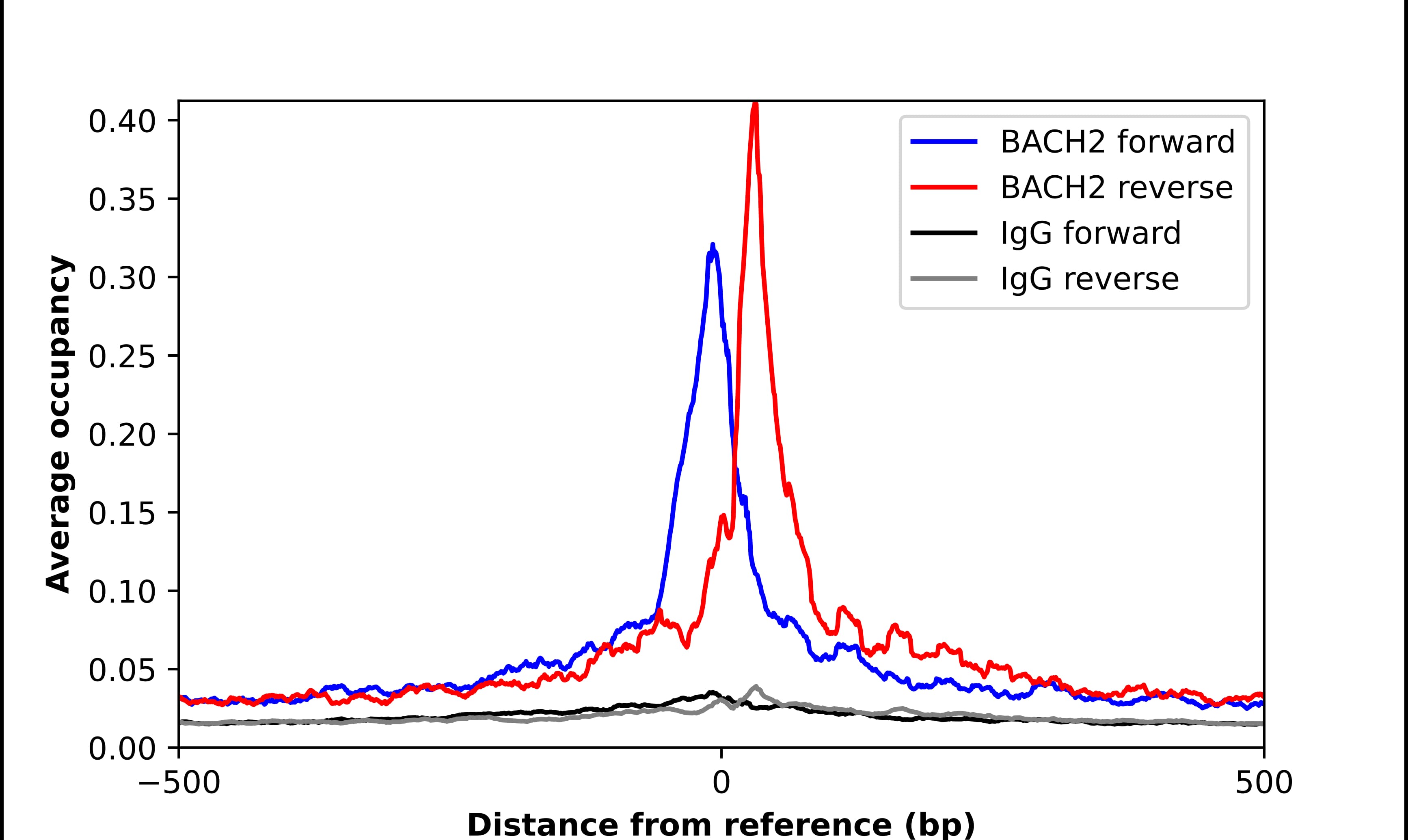 ChIP-Exo-Seq composite graph for Anti-BACH2 (NBP2-58464) tested in K562 cells. Strand-specific reads (blue: forward, red: reverse) and IgG controls (black: forward, grey: reverse) are plotted against the distance from a composite set of reference binding sites. The antibody exhibits robust target enrichment compared to a non-specific IgG control and precisely reveals its structural organization around the binding site. Data generated by Prof. B. F. Pugh´s Lab at Cornell University.