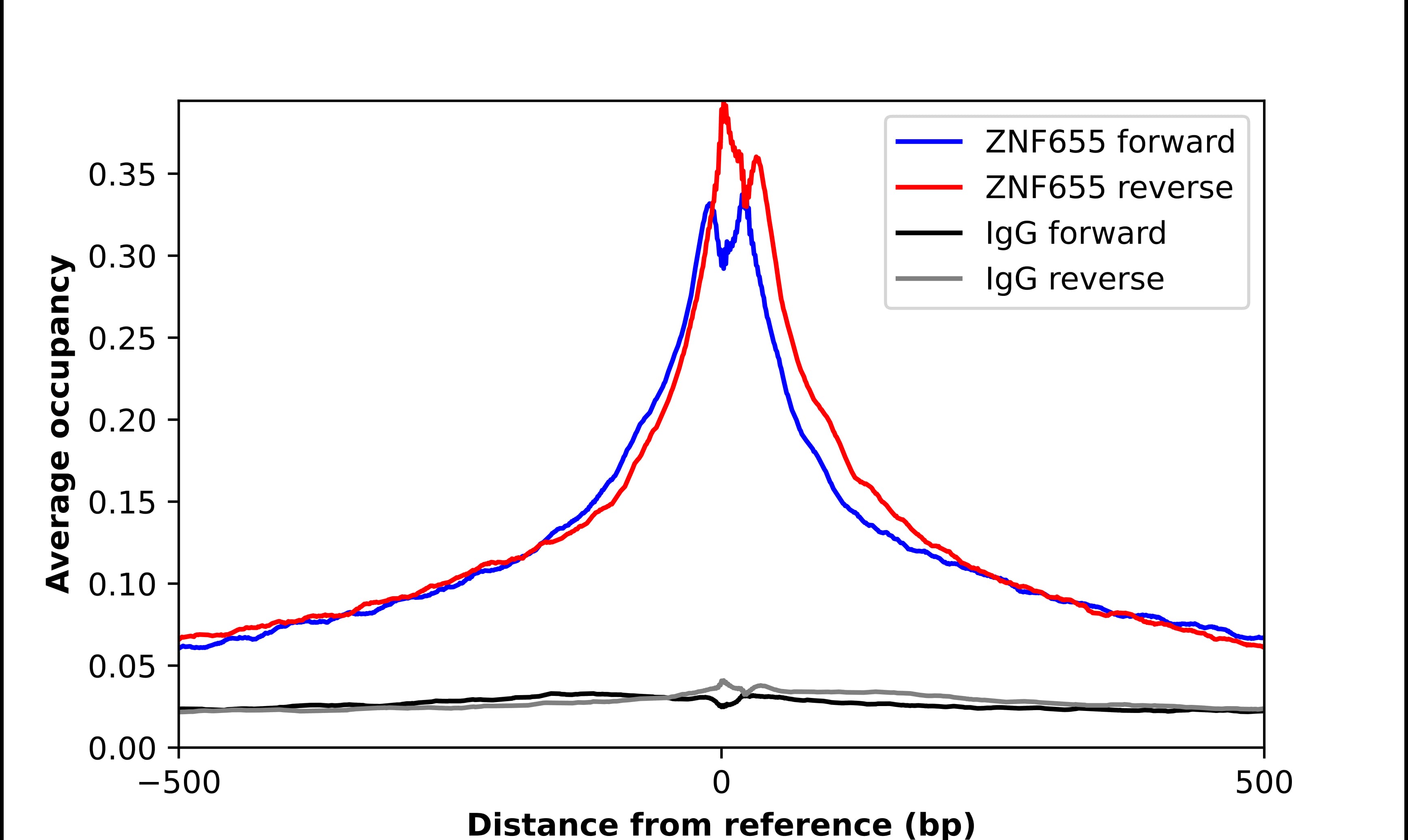 ChIP-Exo-Seq composite graph for Anti-ZNF655 (NBP2-58467) tested in K562 cells. Strand-specific reads (blue: forward, red: reverse) and IgG controls (black: forward, grey: reverse) are plotted against the distance from a composite set of reference binding sites. The antibody exhibits robust target enrichment compared to a non-specific IgG control and precisely reveals its structural organization around the binding site. Data generated by Prof. B. F. Pugh´s Lab at Cornell University.