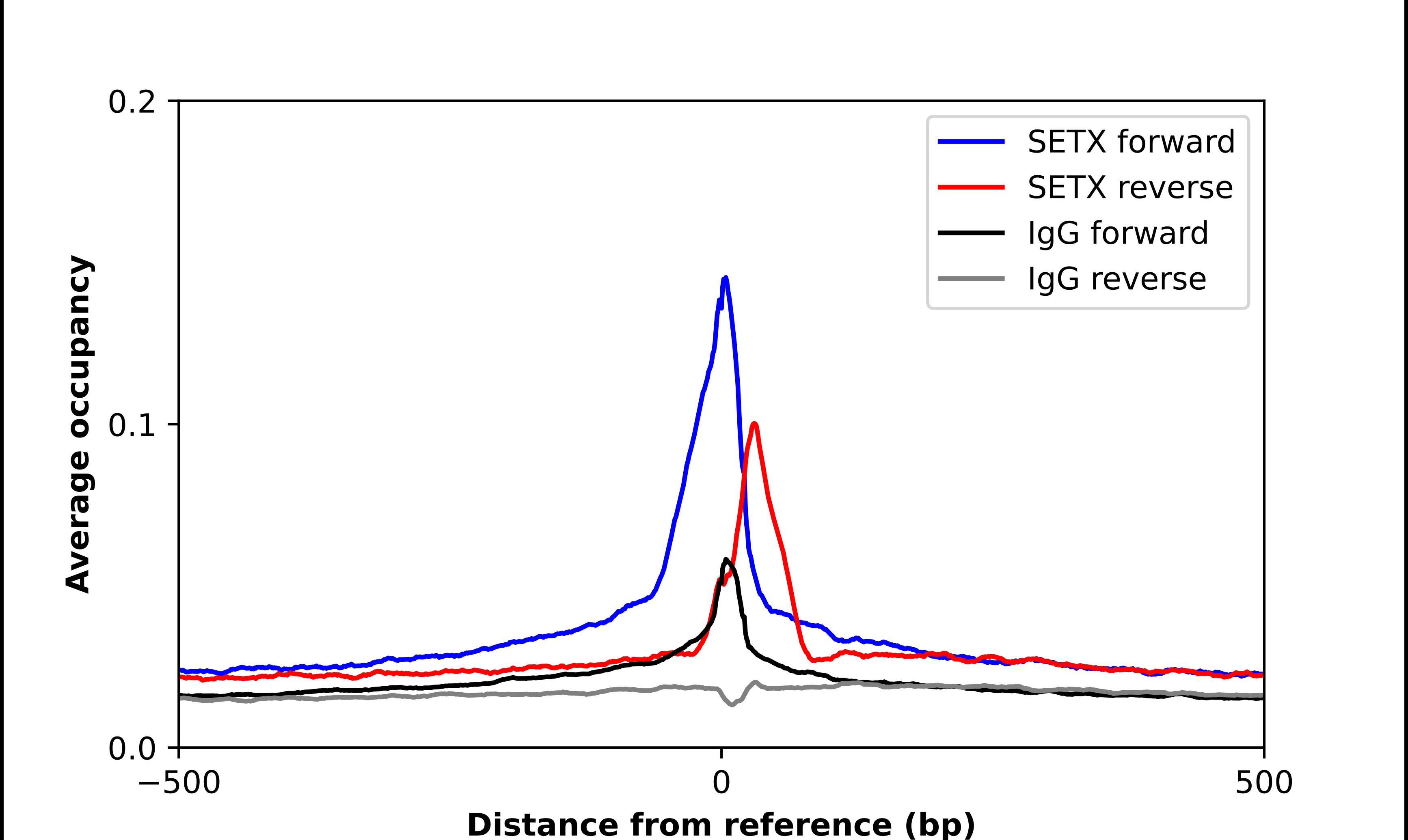 ChIP-Exo-Seq composite graph for Anti-Senataxin tested in K562 cells. Strand-specific reads (blue: forward, red: reverse) and IgG controls (black: forward, grey: reverse) are plotted against the distance from a composite set of reference binding sites. The antibody exhibits robust target enrichment compared to a non-specific IgG control and precisely reveals its structural organization around the binding site. Data generated by Prof. B. F. Pugh's Lab at Cornell University.