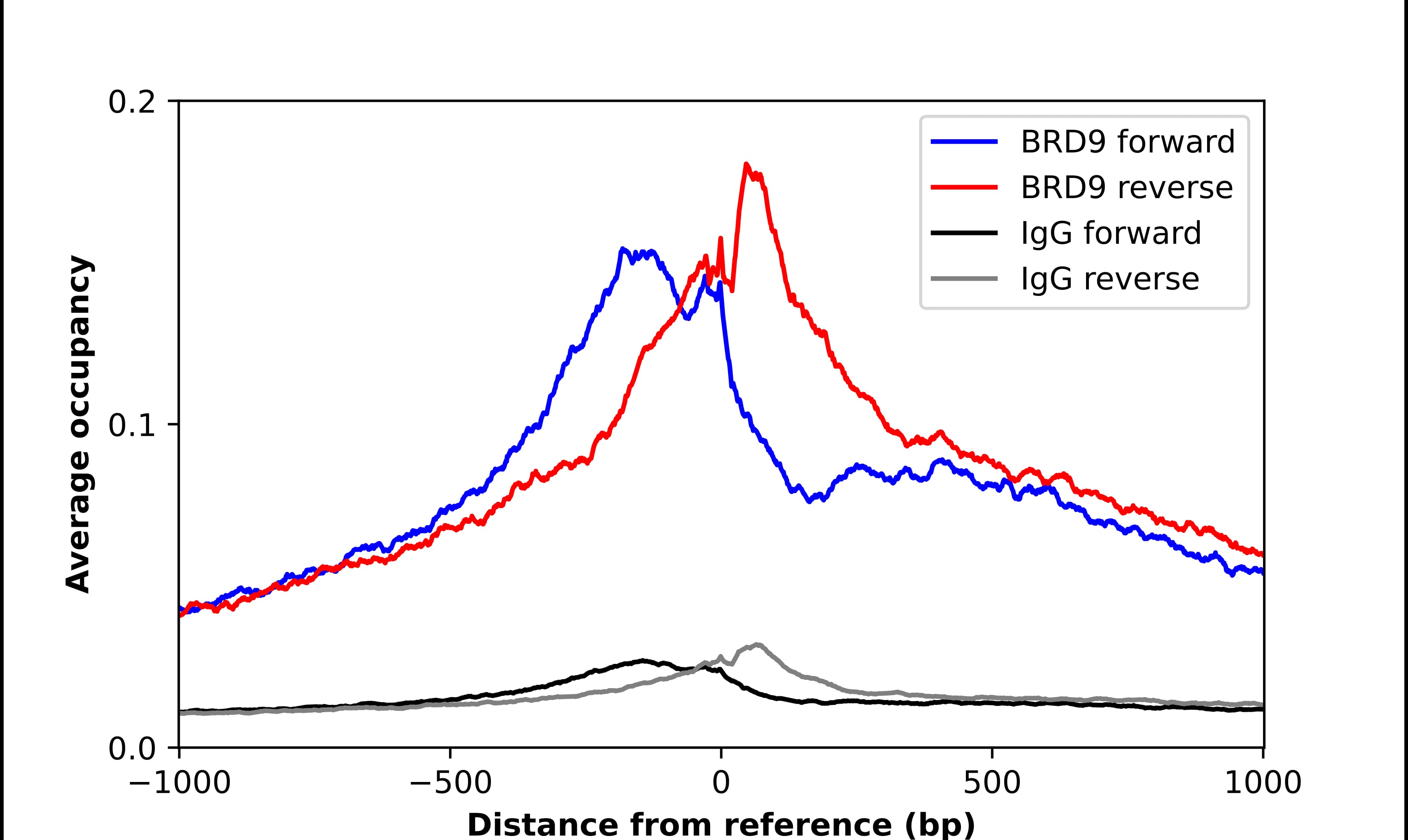 ChIP-Exo-Seq composite graph for Anti-BRD9 (NBP2-58517) tested in K562 cells. Strand-specific reads (blue: forward, red: reverse) and IgG controls (black: forward, grey: reverse) are plotted against the distance from a composite set of reference binding sites. The antibody exhibits robust target enrichment compared to a non-specific IgG control and precisely reveals its structural organization around the binding site. Data generated by Prof. B. F. Pugh´s Lab at Cornell University.