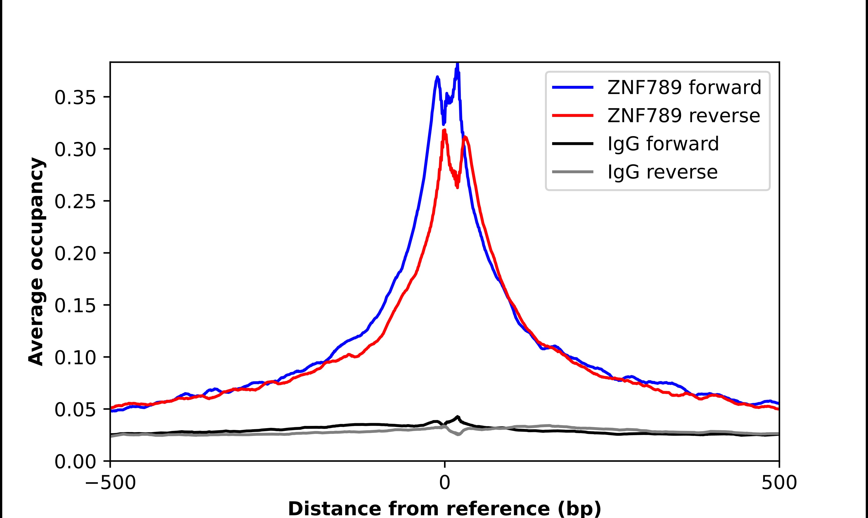 Chromatin Immunoprecipitation ZNF789 Antibody - BSA Free