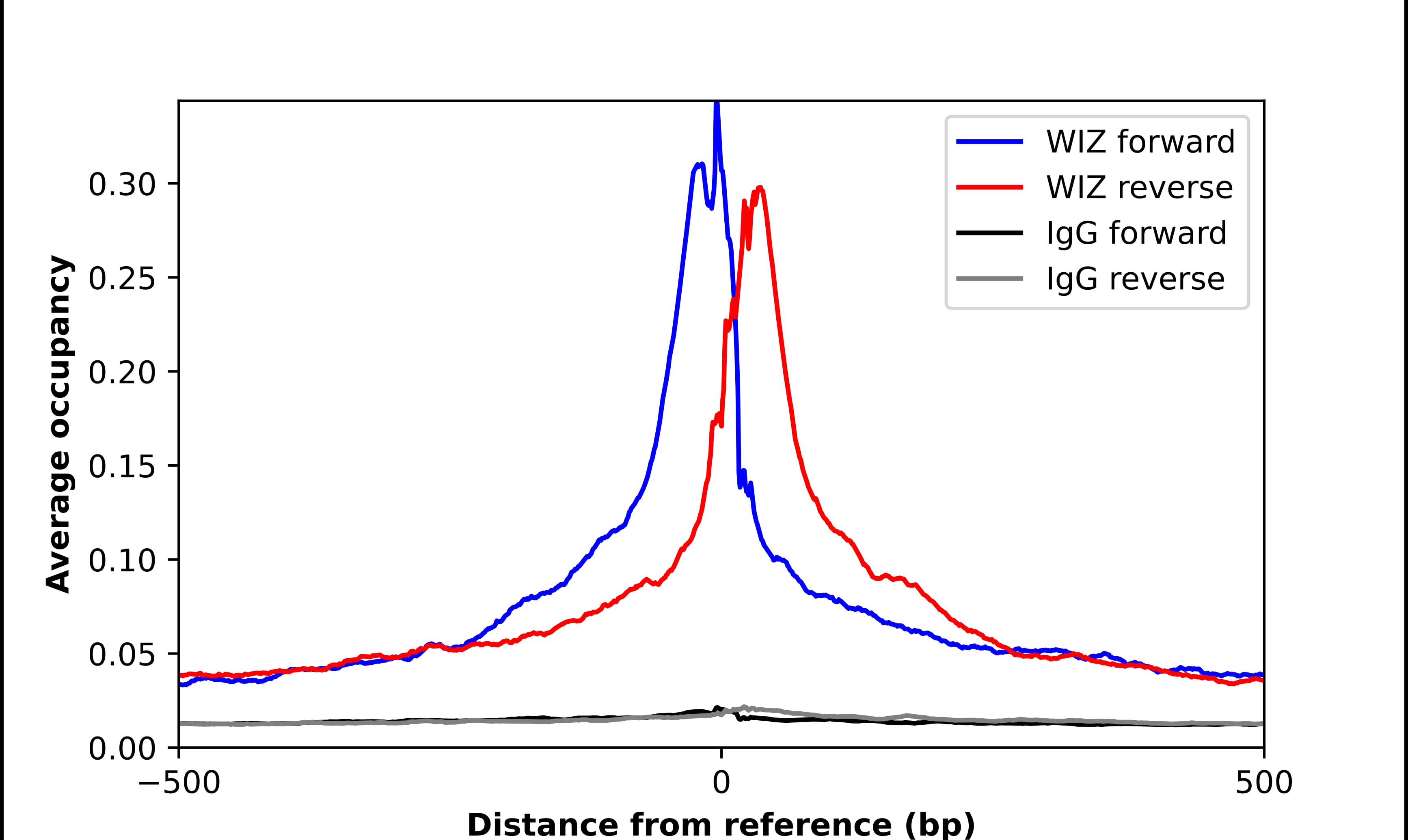 ChIP-Exo-Seq composite graph for Anti-WIZ (NBP2-58557) tested in K562 cells. Strand-specific reads (blue: forward, red: reverse) and IgG controls (black: forward, grey: reverse) are plotted against the distance from a composite set of reference binding sites. The antibody exhibits robust target enrichment compared to a non-specific IgG control and precisely reveals its structural organization around the binding site. Data generated by Prof. B. F. Pugh´s Lab at Cornell University.
