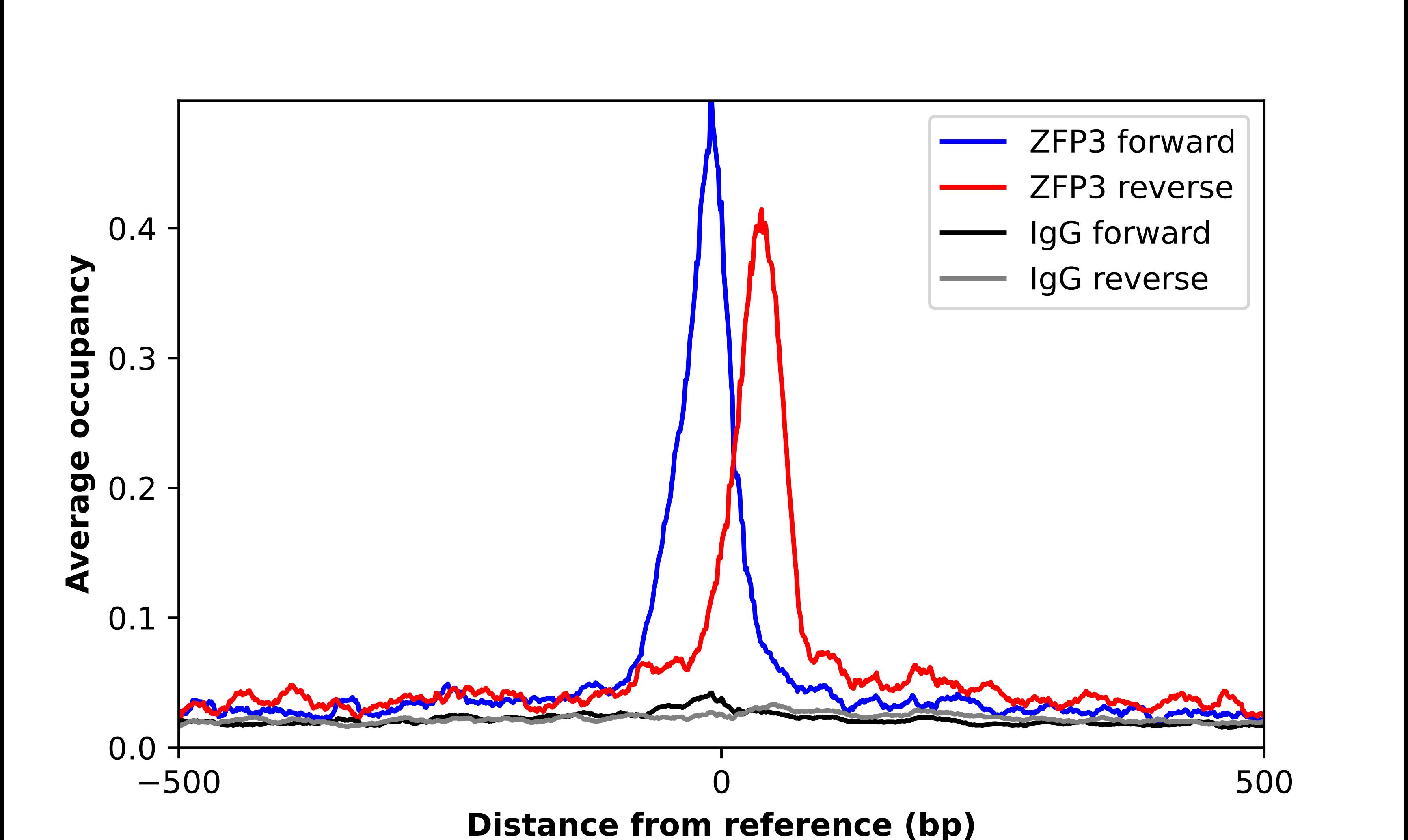 Chromatin Immunoprecipitation ZFP3 Antibody - BSA Free