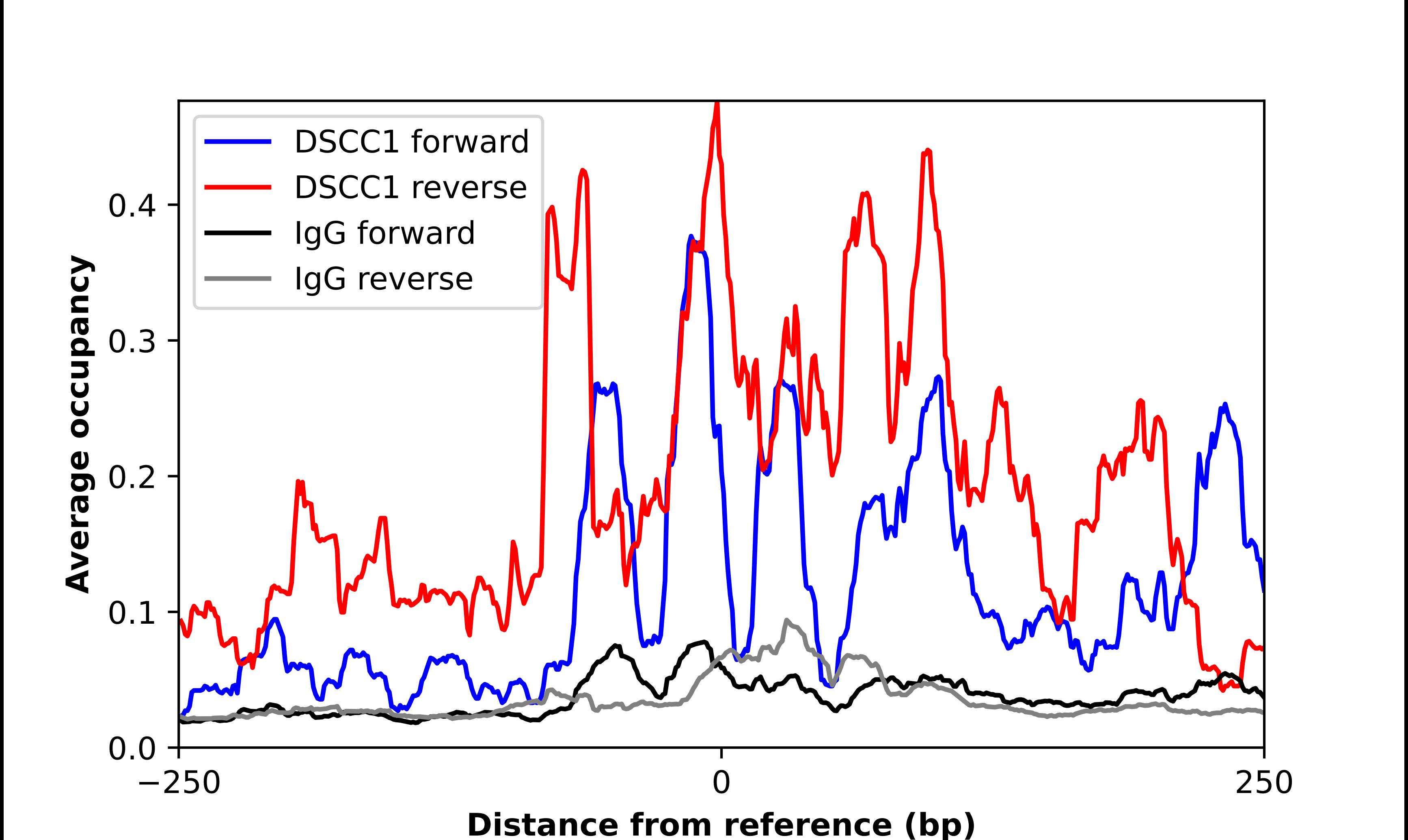 ChIP-Exo-Seq composite graph for Anti-DSCC1 tested in K562 cells. Strand-specific reads (blue: forward, red: reverse) and IgG controls (black: forward, grey: reverse) are plotted against the distance from a composite set of reference binding sites. The antibody exhibits robust target enrichment compared to a non-specific IgG control and precisely reveals its structural organization around the binding site. Data generated by Prof. B. F. Pugh's Lab at Cornell University.