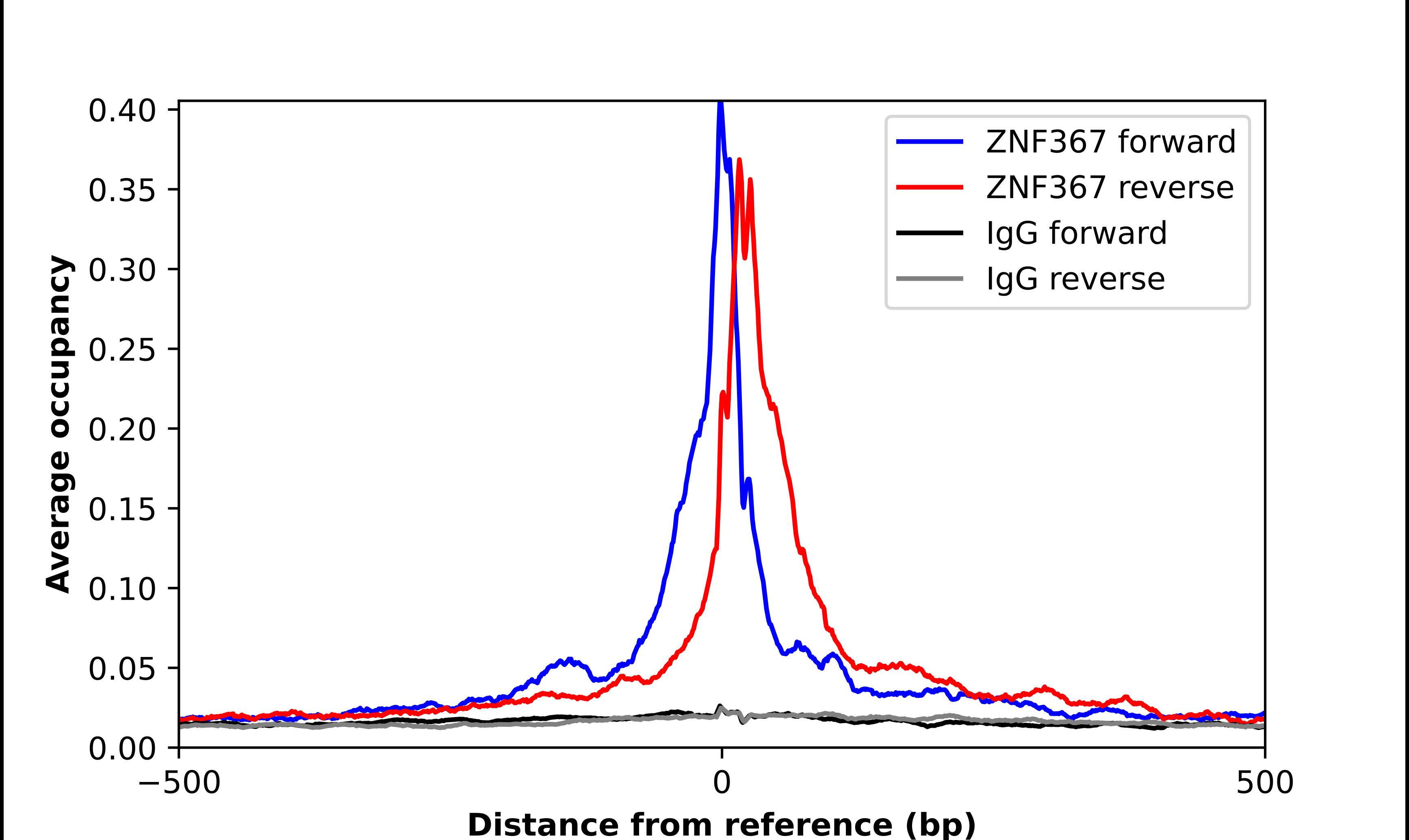 Chromatin Immunoprecipitation ZNF367 Antibody - BSA Free