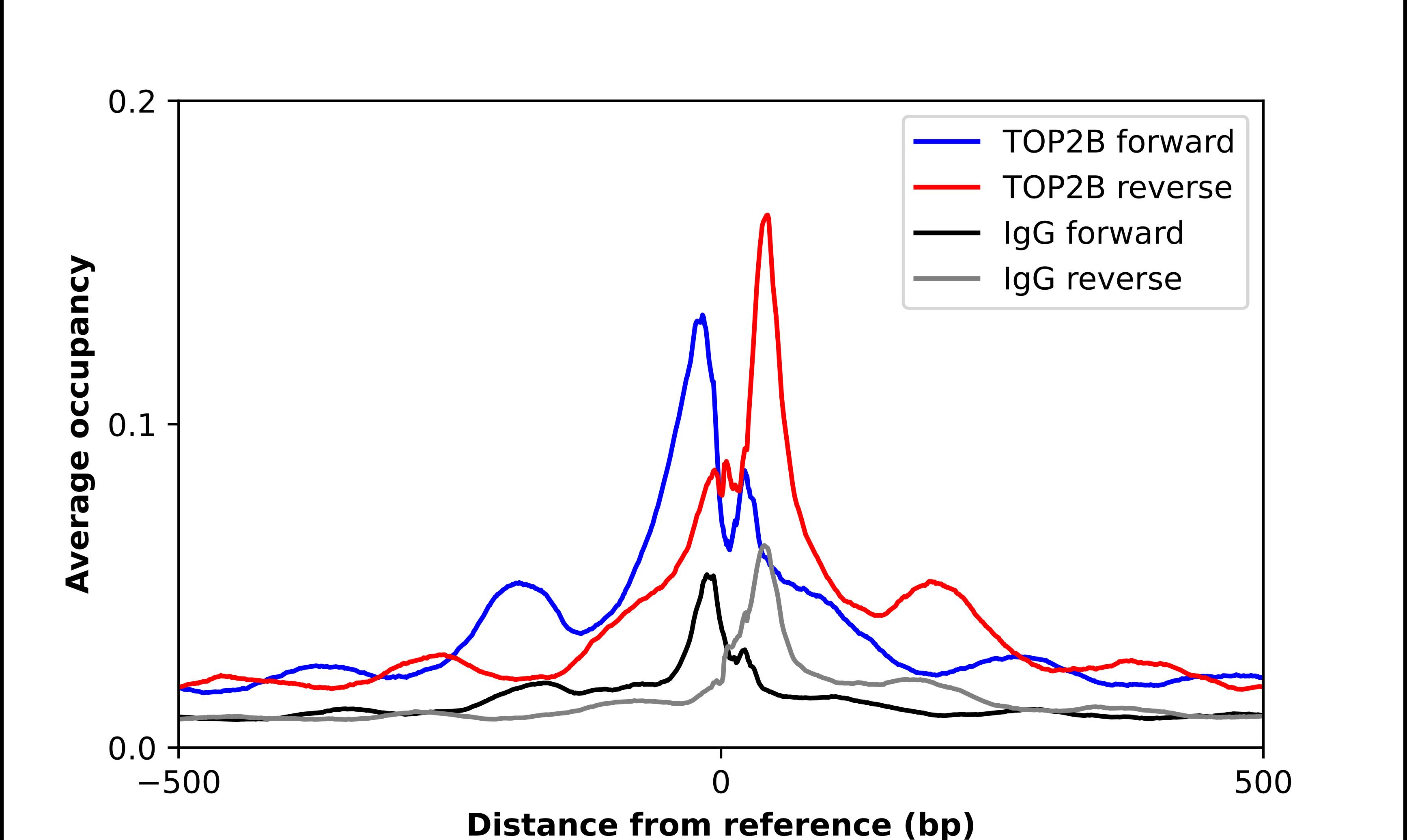<b>Independent Antibodies Validation. </b>ChIP-Exo-Seq composite graph for Anti-TOP2B tested in K562 cells. Strand-specific reads (blue: forward, red: reverse) and IgG controls (black: forward, grey: reverse) are plotted against the distance from a composite set of reference binding sites. The antibody exhibits robust target enrichment compared to a non-specific IgG control and precisely reveals its structural organization around the binding site. Data generated by Prof. B. F. Pugh's Lab at Cornell University.