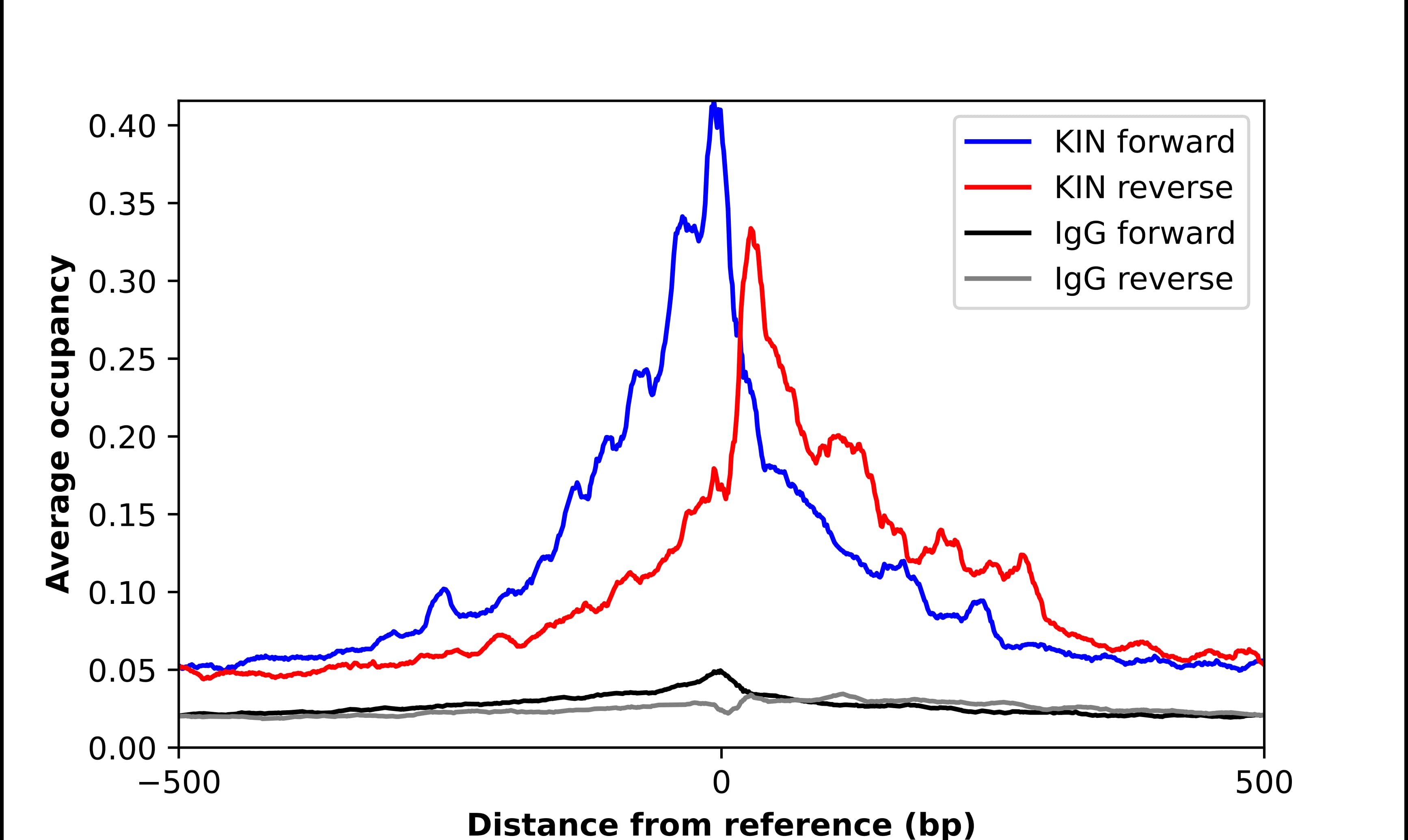 ChIP-Exo-Seq composite graph for Anti-KIN (NBP2-58750) tested in K562 cells. Strand-specific reads (blue: forward, red: reverse) and IgG controls (black: forward, grey: reverse) are plotted against the distance from a composite set of reference binding sites. The antibody exhibits robust target enrichment compared to a non-specific IgG control and precisely reveals its structural organization around the binding site. Data generated by Prof. B. F. Pugh´s Lab at Cornell University.
