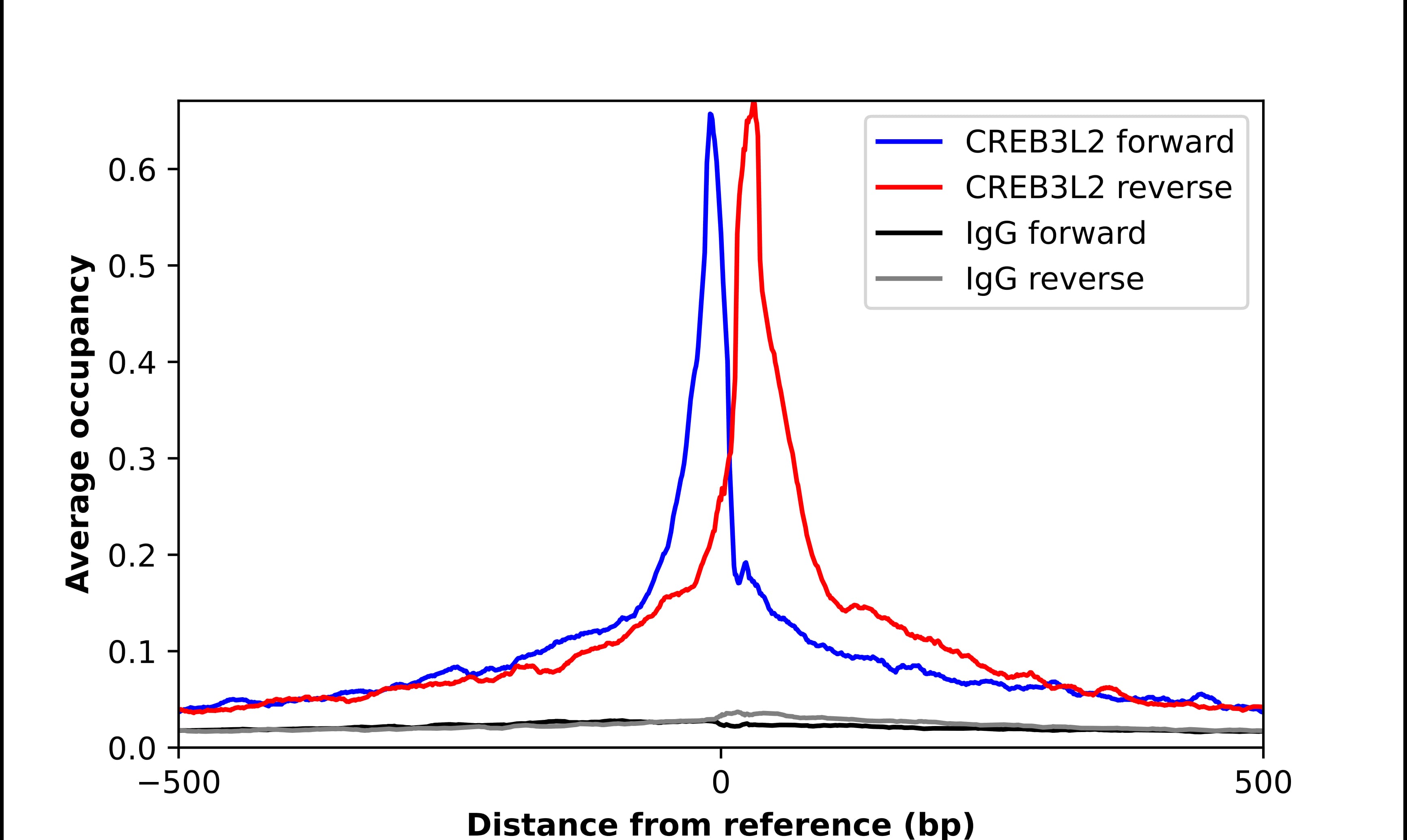 ChIP-Exo-Seq composite graph for Anti-CREB3L2 tested in K562 cells. Strand-specific reads (blue: forward, red: reverse) and IgG controls (black: forward, grey: reverse) are plotted against the distance from a composite set of reference binding sites. The antibody exhibits robust target enrichment compared to a non-specific IgG control and precisely reveals its structural organization around the binding site. Data generated by Prof. B. F. Pugh's Lab at Cornell University.
