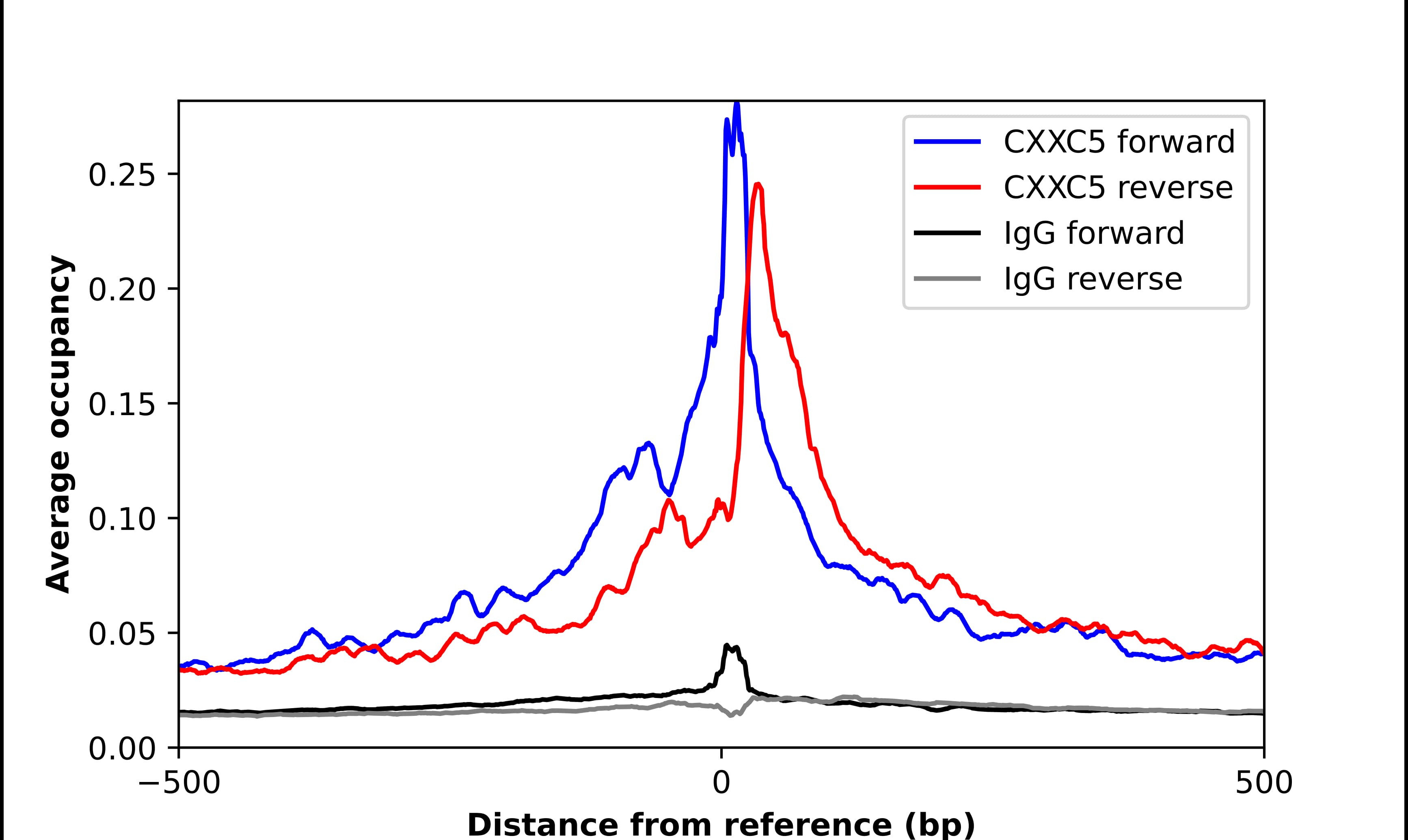 Chromatin Immunoprecipitation CXXC5 Antibody - BSA Free